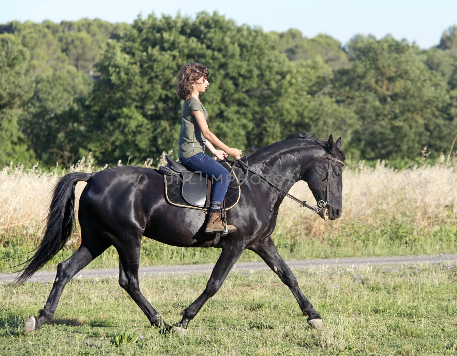 young riding girl and her black stallion in the nature
