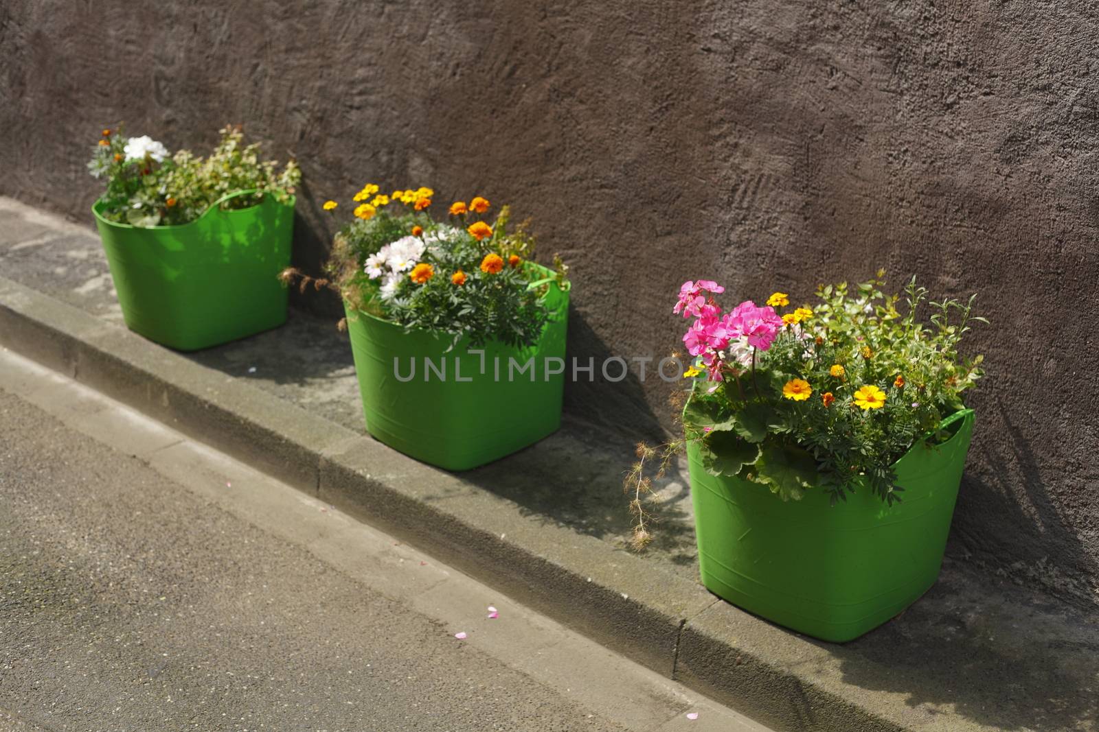 green flower pots on the footpath