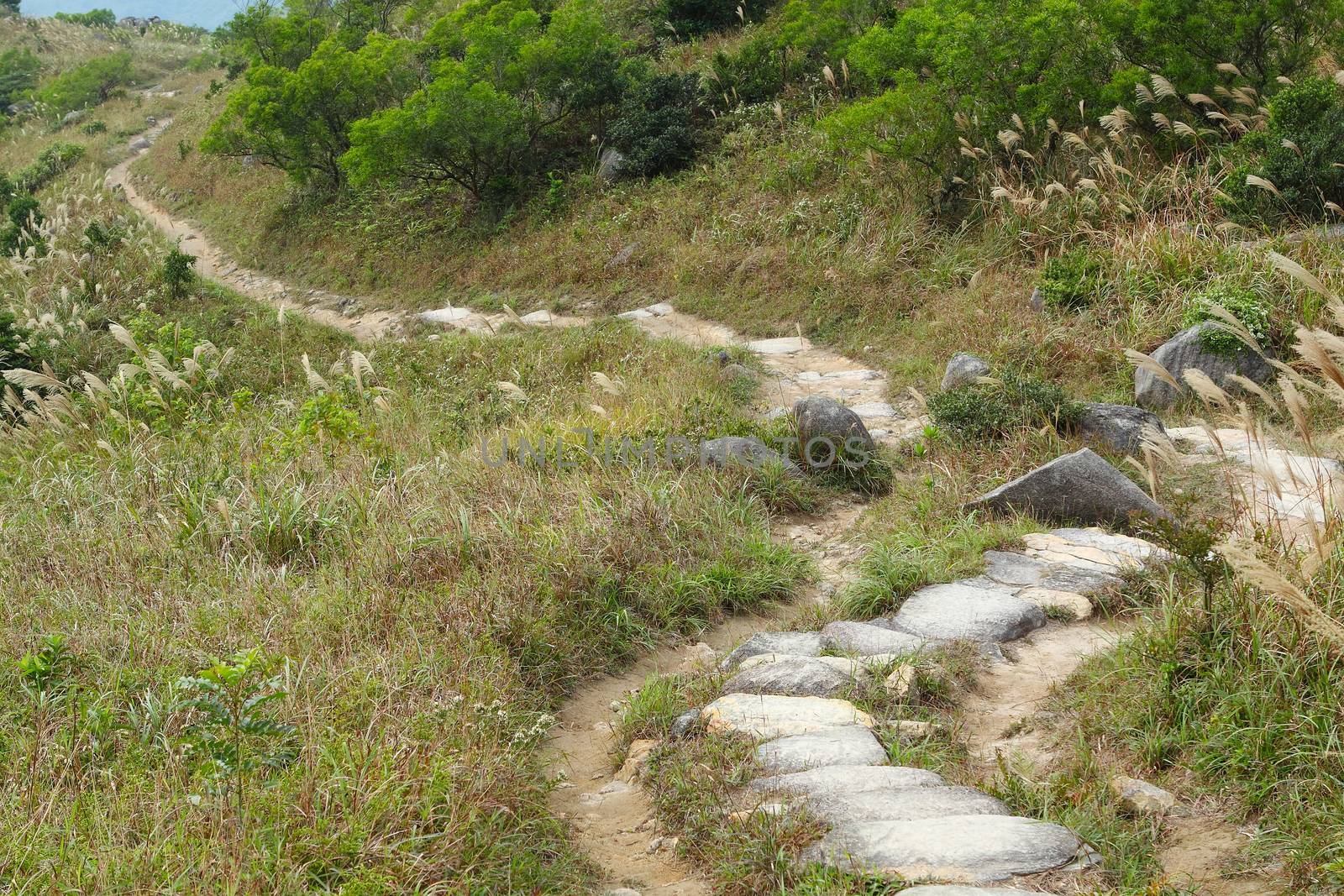 Stone path in the mountains