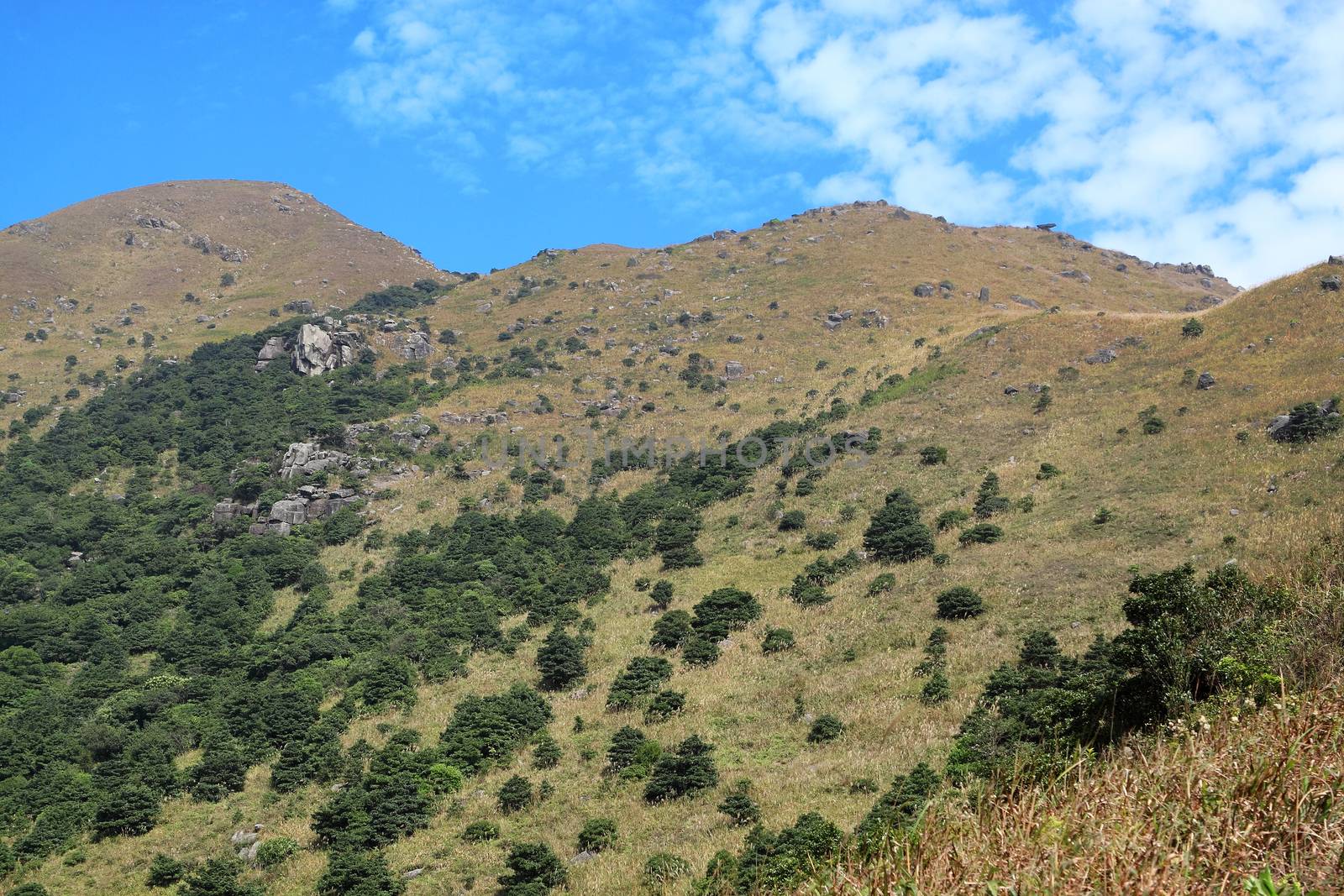 mountains and the dark blue sky by cozyta