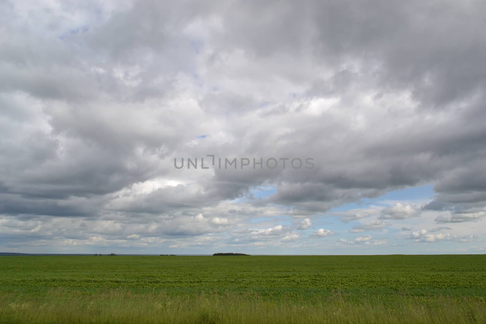 Blue sky and clouds over green field by Gaina