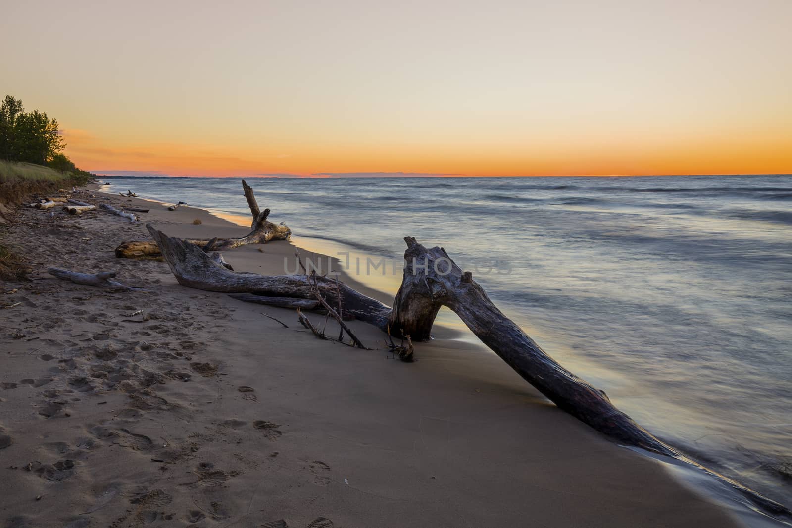 Driftwood on a Lake Huron beach after sunset - Pinery Provincial Park, Ontario, Canada