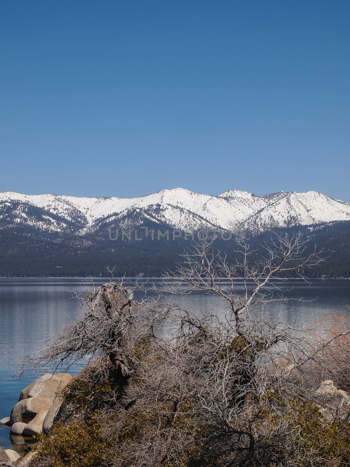 Landscape of Lake Tahoe by simpleBE