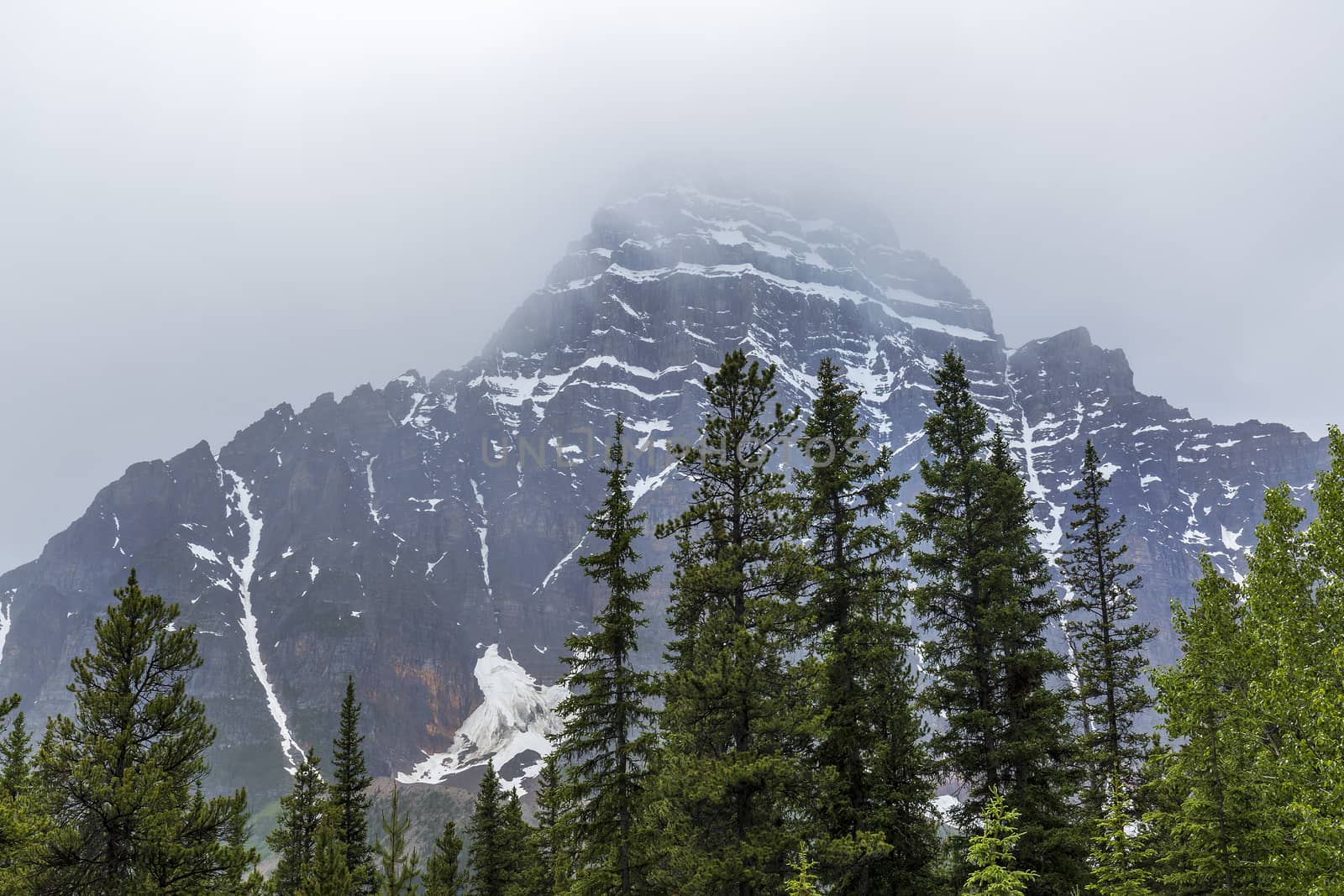 Rocky Mountains and Boreal Forest - Jasper National Park, Canada by gonepaddling