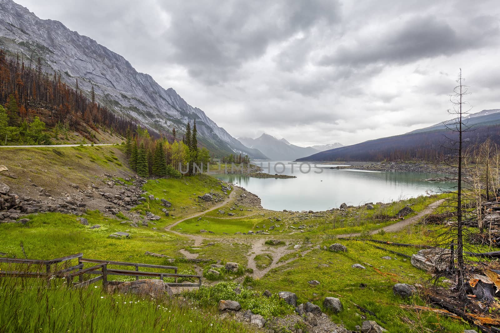 One Year after Medicine Lake Forest Fire -  Alberta, Canada by gonepaddling