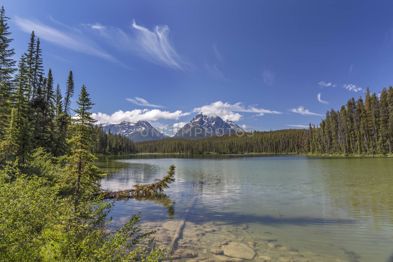 A small lake surrounded by the Rocky Mountains and boreal forest - Jasper National Park, Alberta, Canada