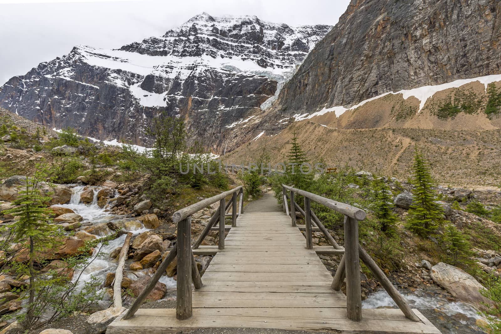 Footbridge over a stream in the Rocky Mountains - Jasper National Park, Alberta, Canada