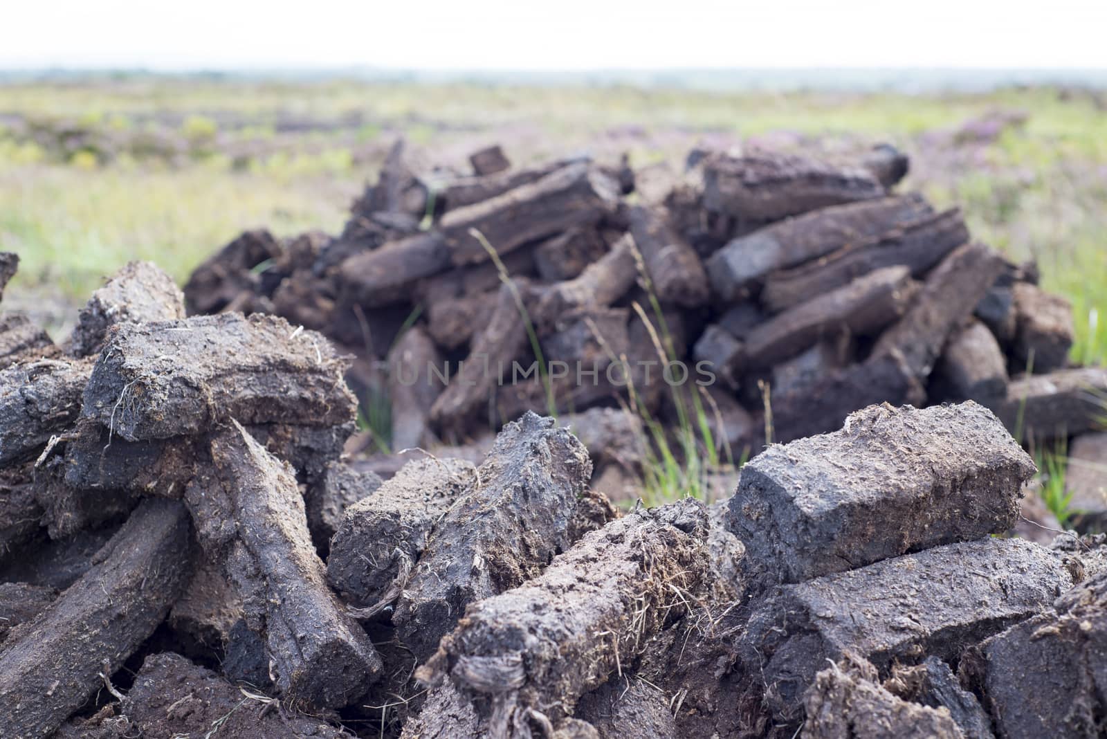 turf stacked up for the bog winds to dry in county kerry on the wild atlantic way of ireland