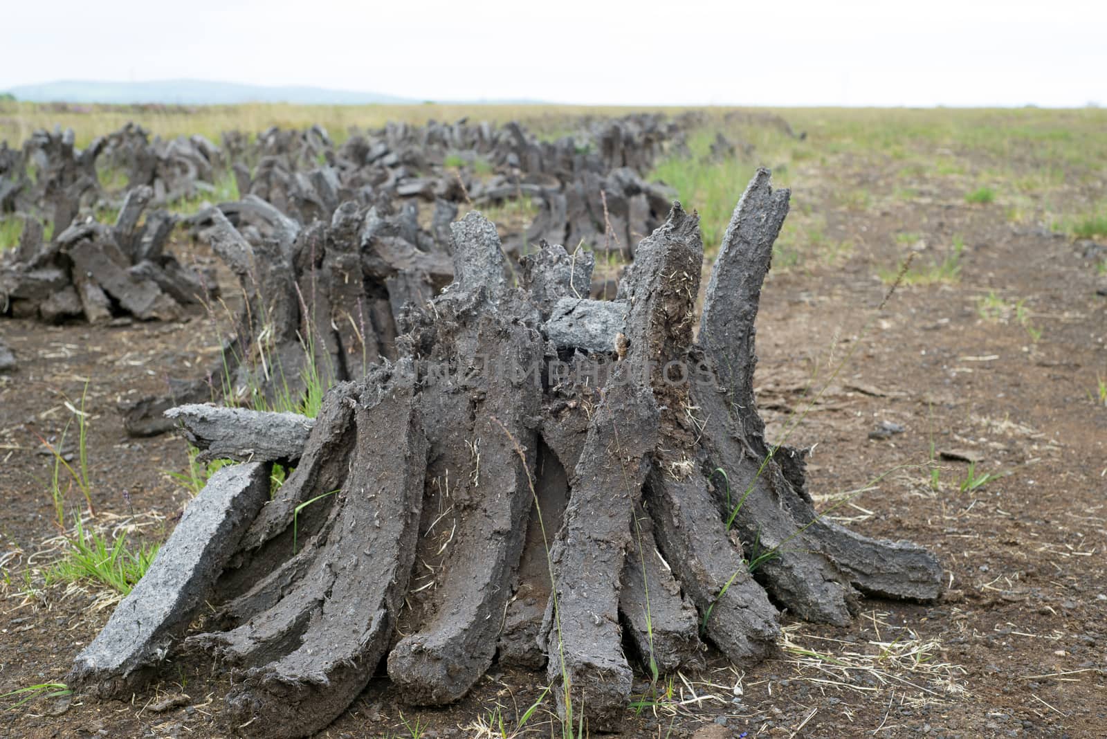 turf stacked up for the bog winds to dry in county kerry on the wild atlantic way of ireland