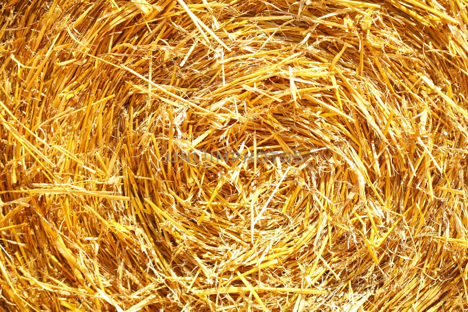 Straw Bale