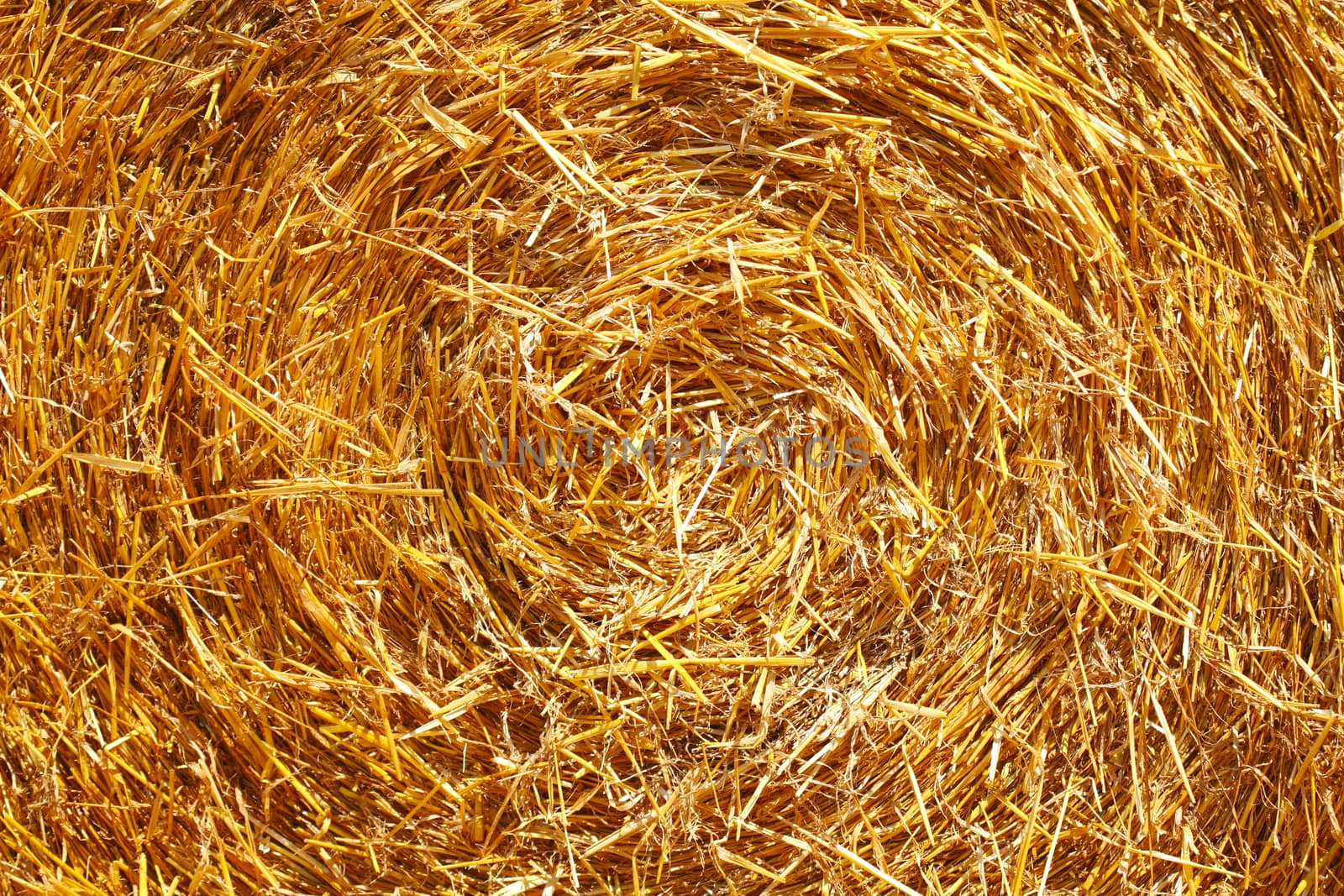 Straw Bale