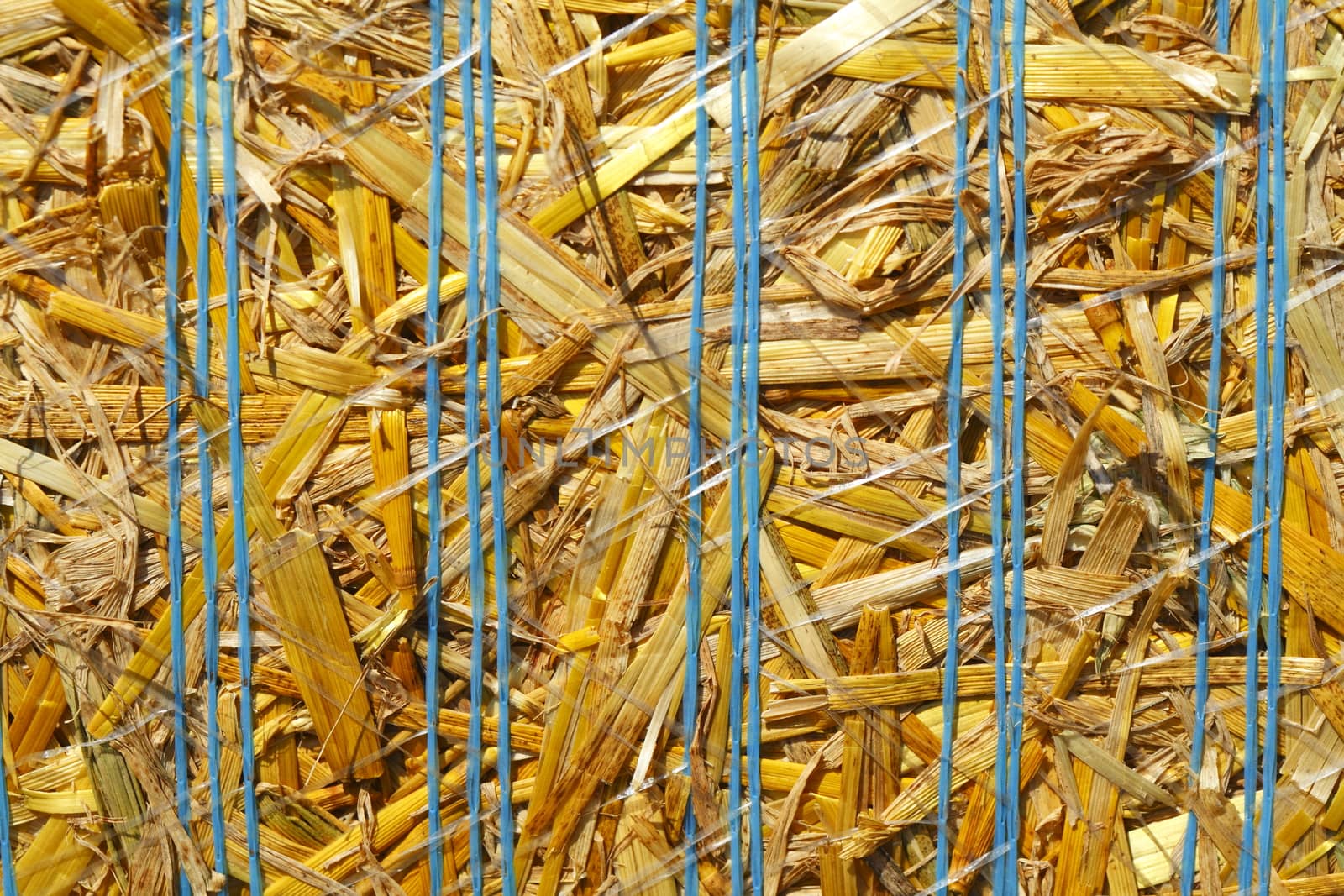 Straw Bale