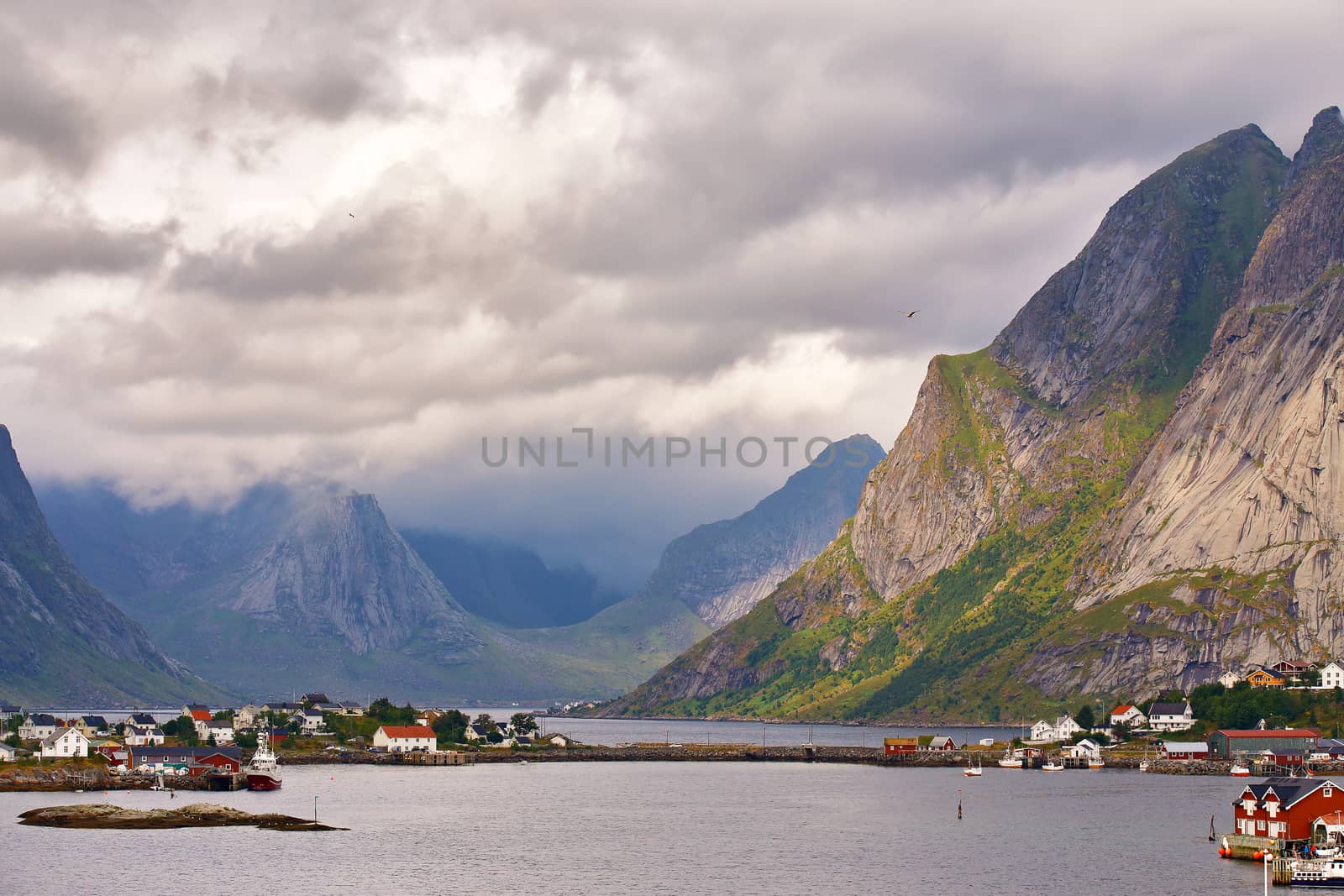 Norway village Reine on a fjord. Nordic cloudy summer day. Lofoten Norway islands.