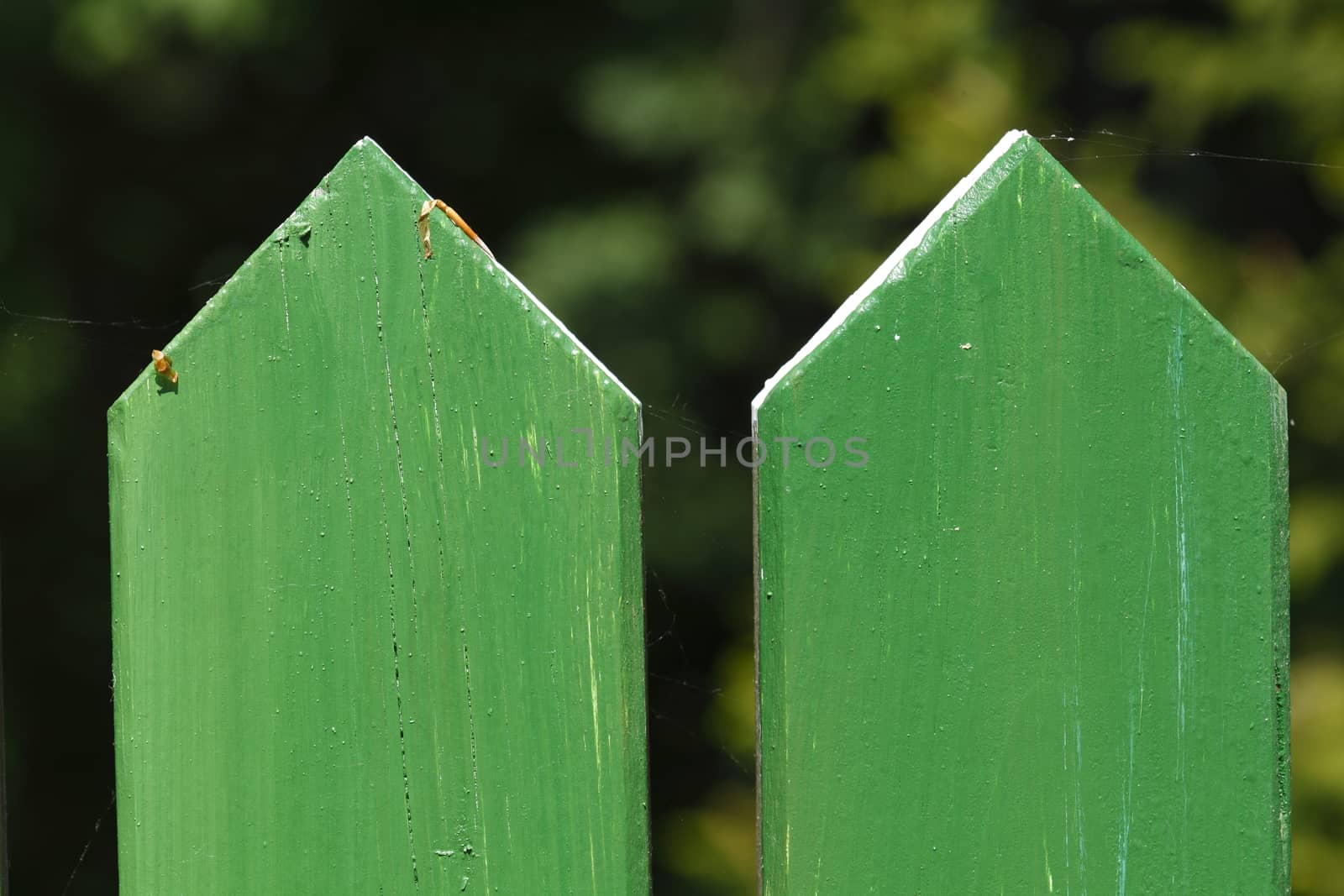Wooden Fence