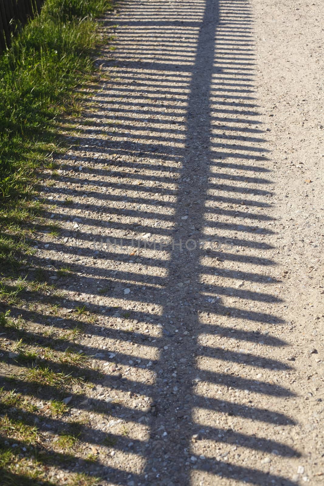 Shadow of a Wooden Fence