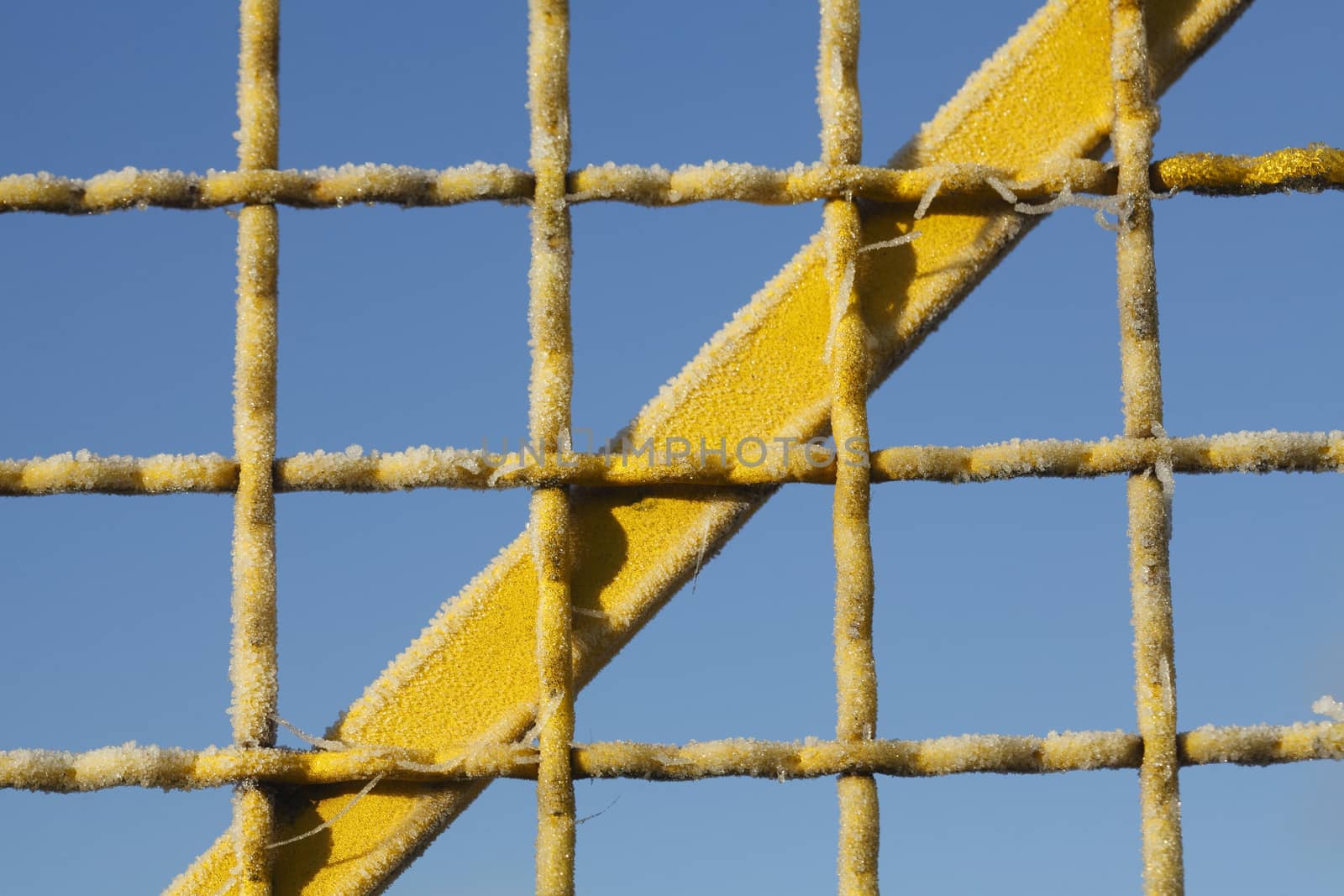 with  hoarfrost  coated  yellow metal fence