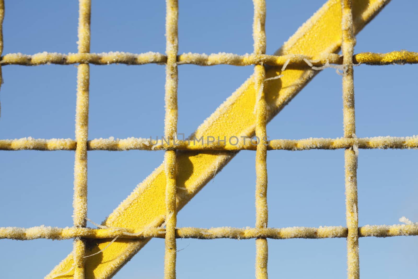 with  hoarfrost  coated  yellow metal fence