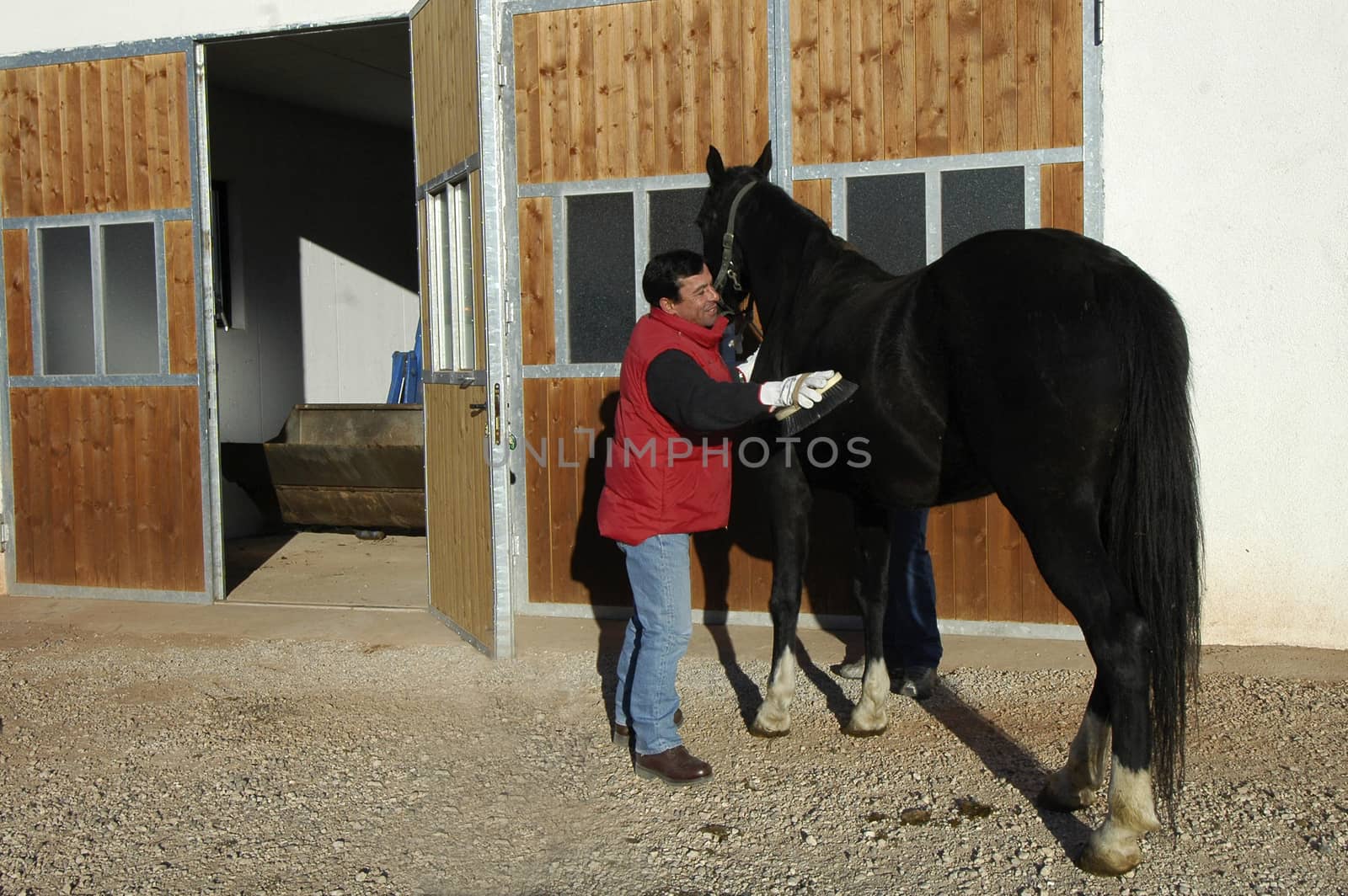 close-up of a man with a black horse