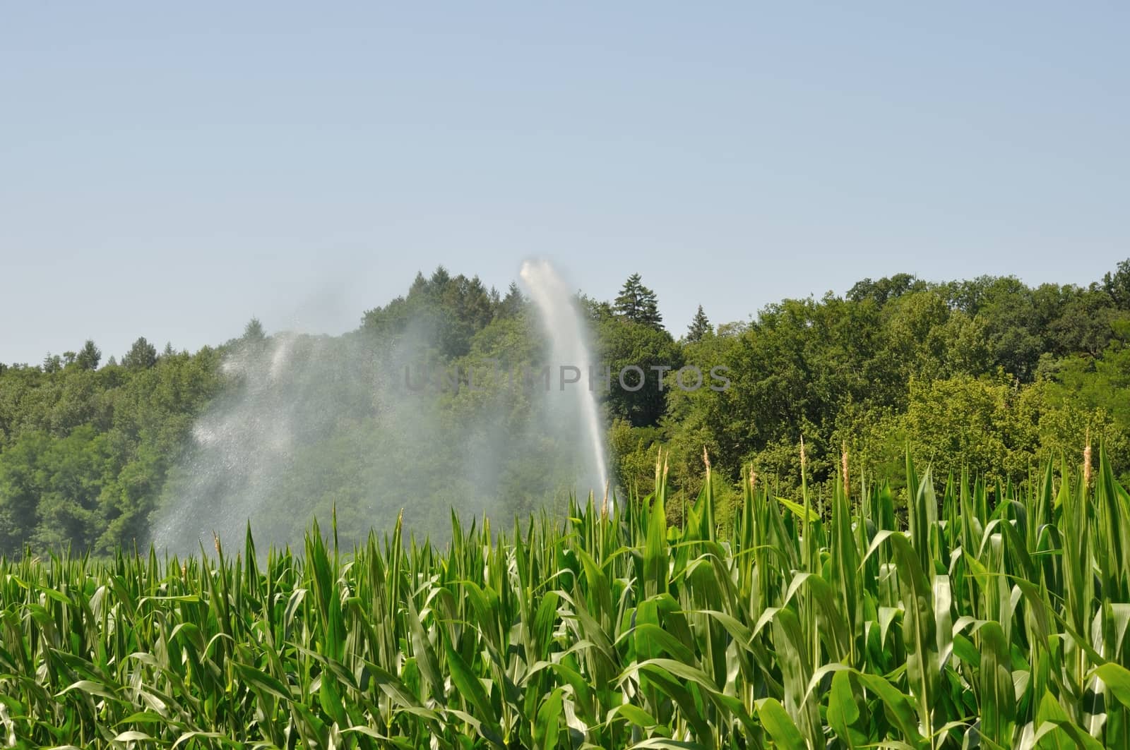 Water sprinkler installation in a field by BZH22