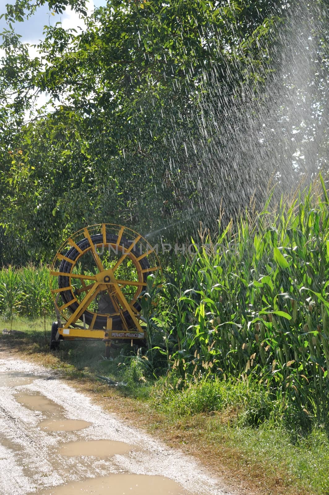 Water sprinkler installation in a field by BZH22
