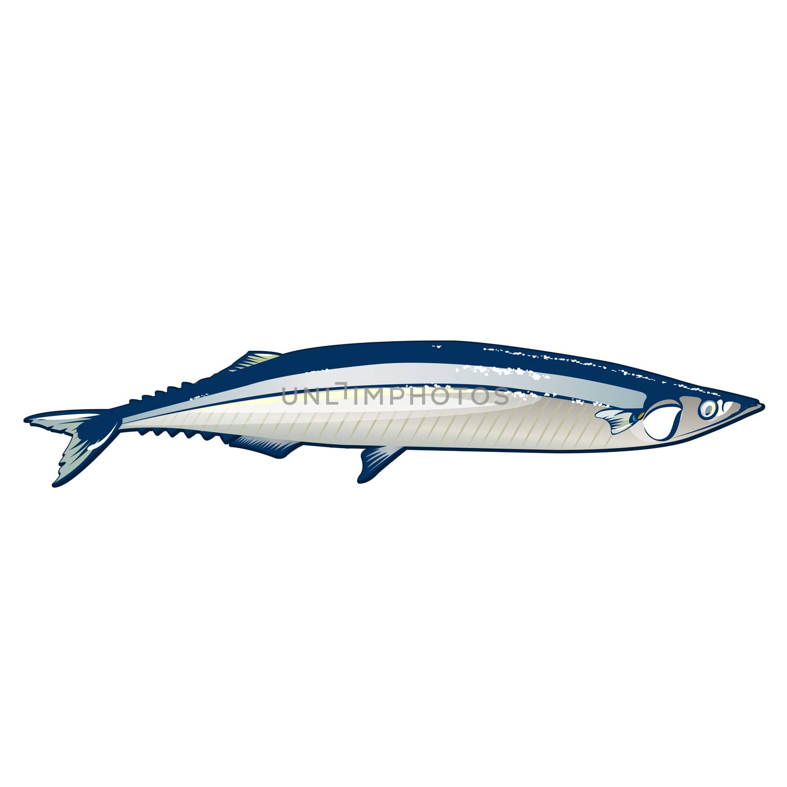 Seafood, isolated raster illustration on white background