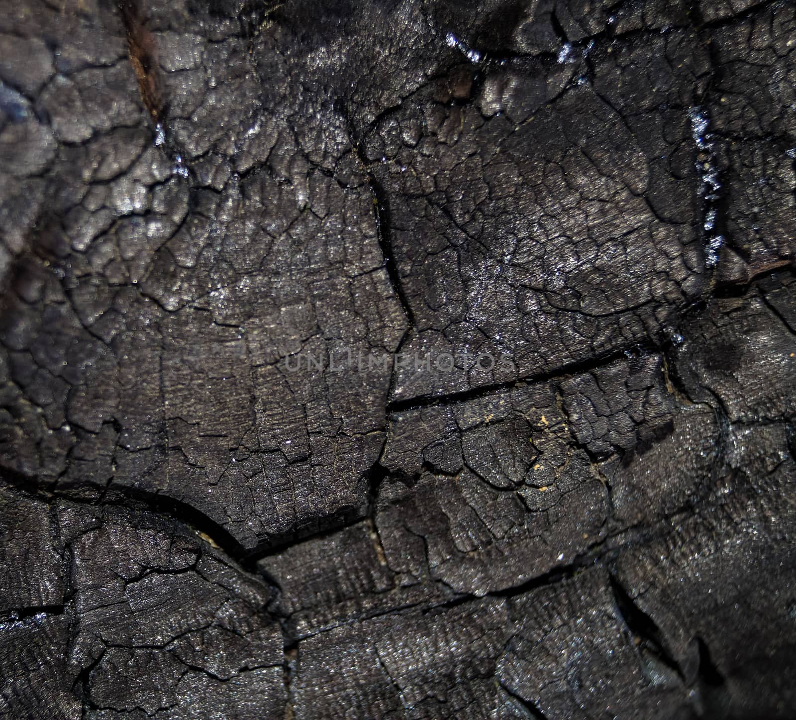 background texture the trunk of a burnt tree by Oleczka11