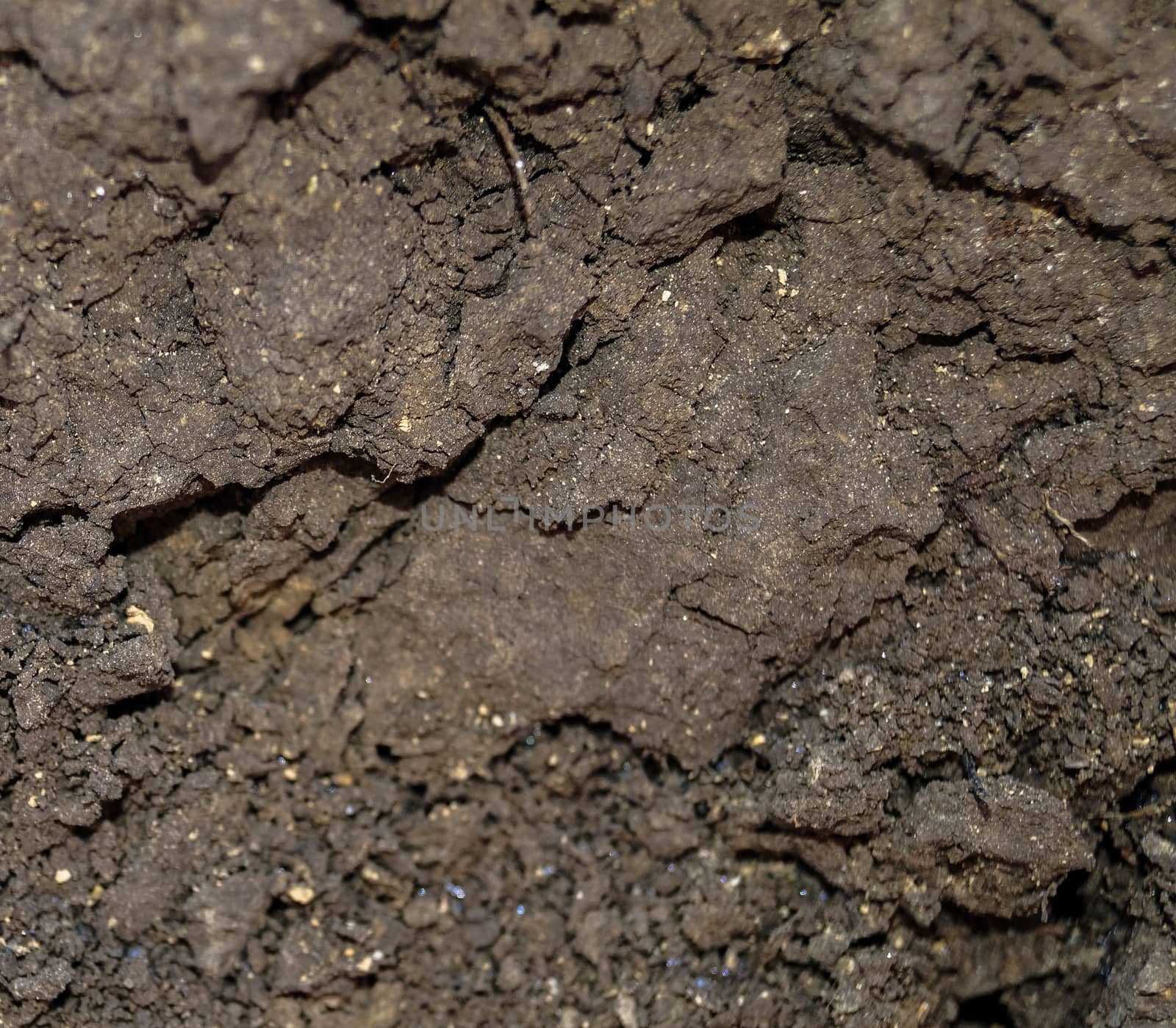 texture background black earth soil by Oleczka11