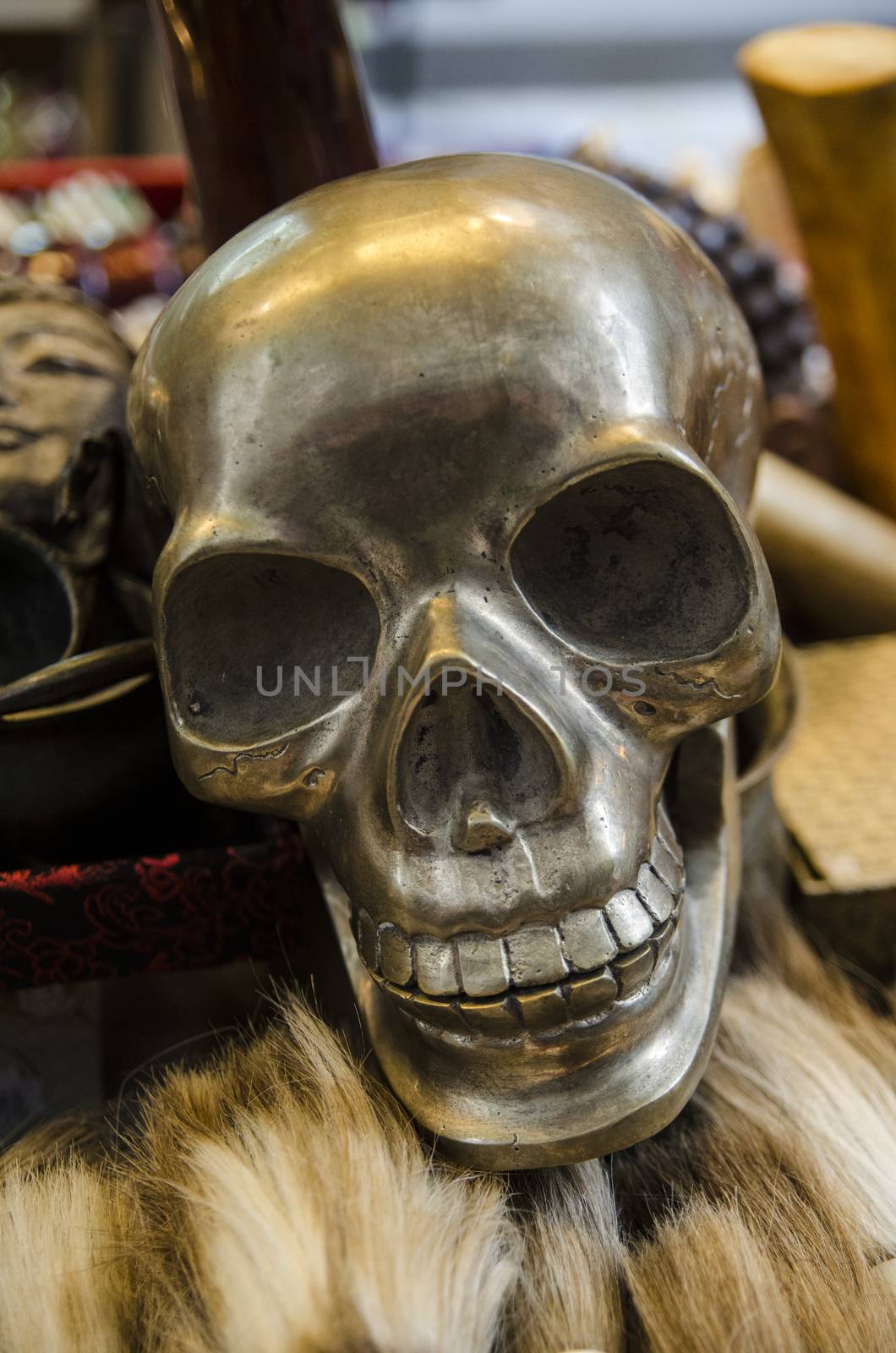 Skeleton in a souvenir shop by Vanzyst