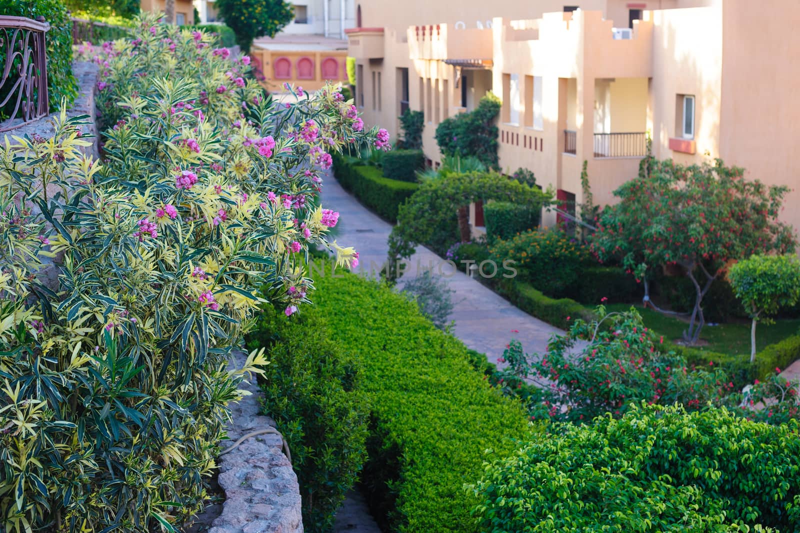 multi-storey buildings with green shrubs and flowerbeds on the territory