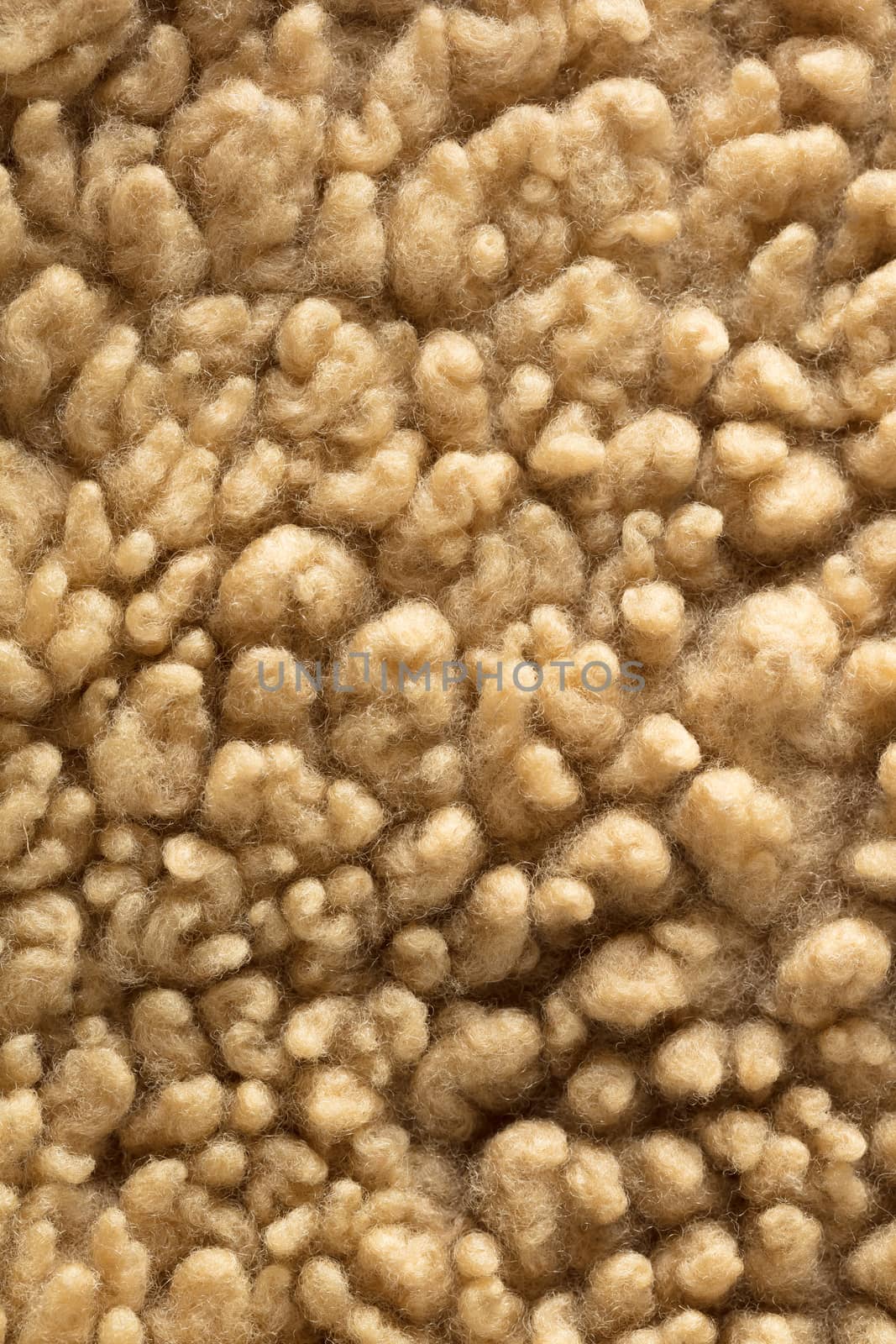 the abstract background texture of natural fur sheepskin