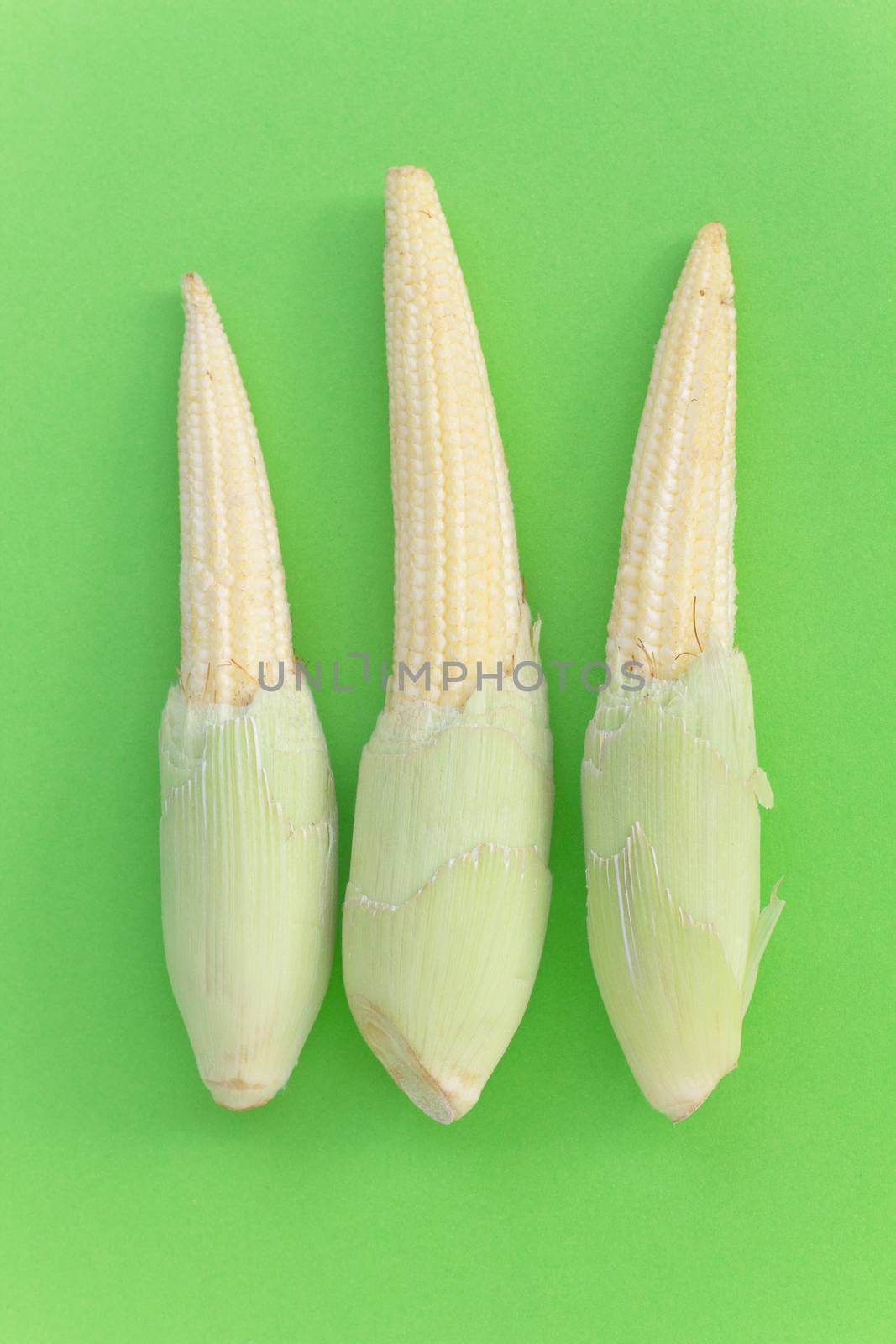 Baby Corns on green background