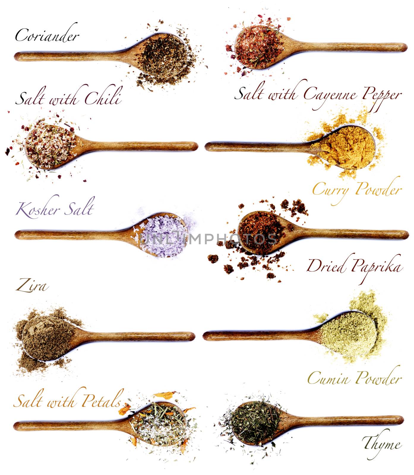 Collection of Various Spices in Wooden Spoons and Inscriptions of Each Spice isolated on White background