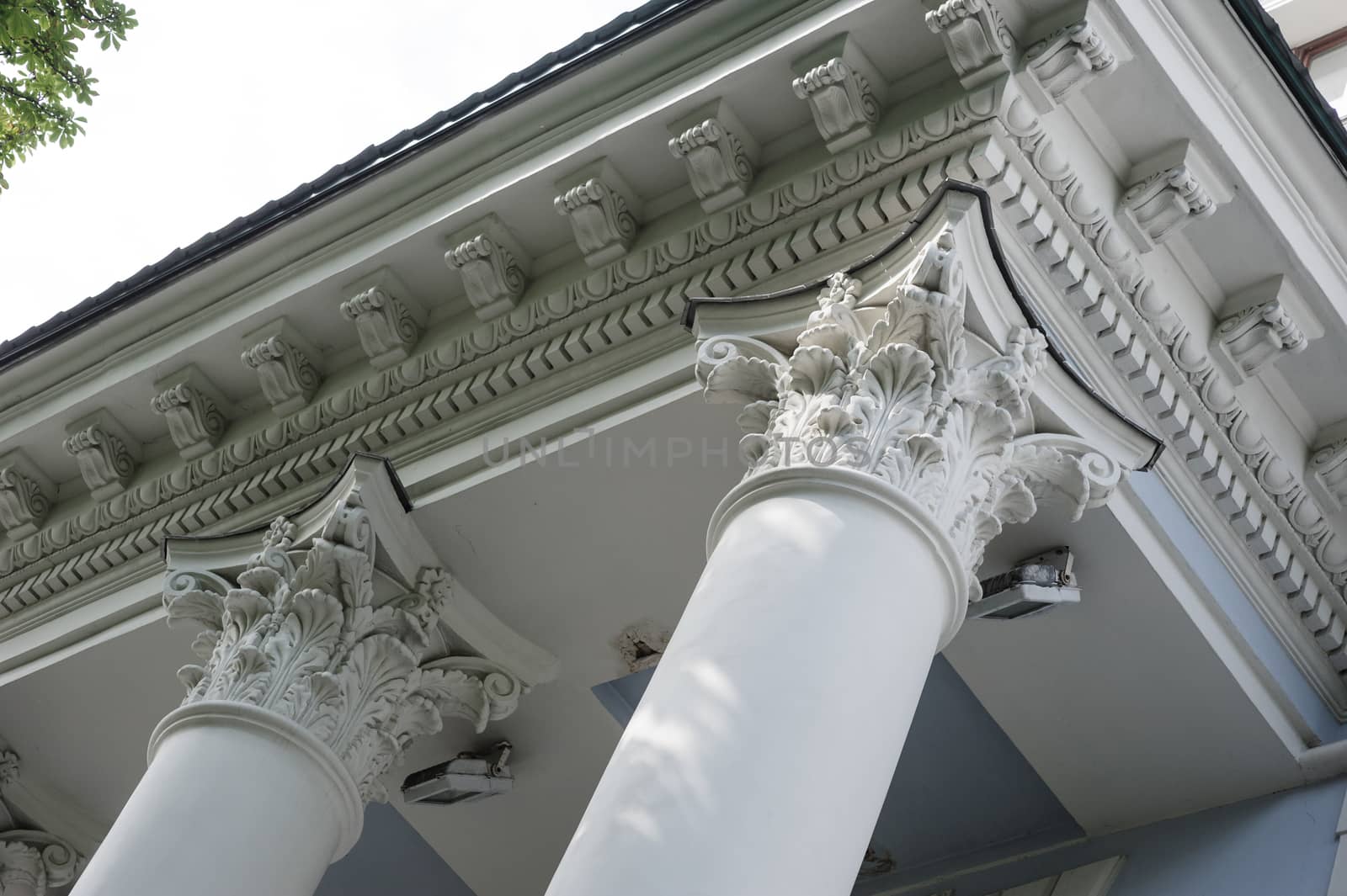 Capital gray closeup Corinthian columns on a building facade.