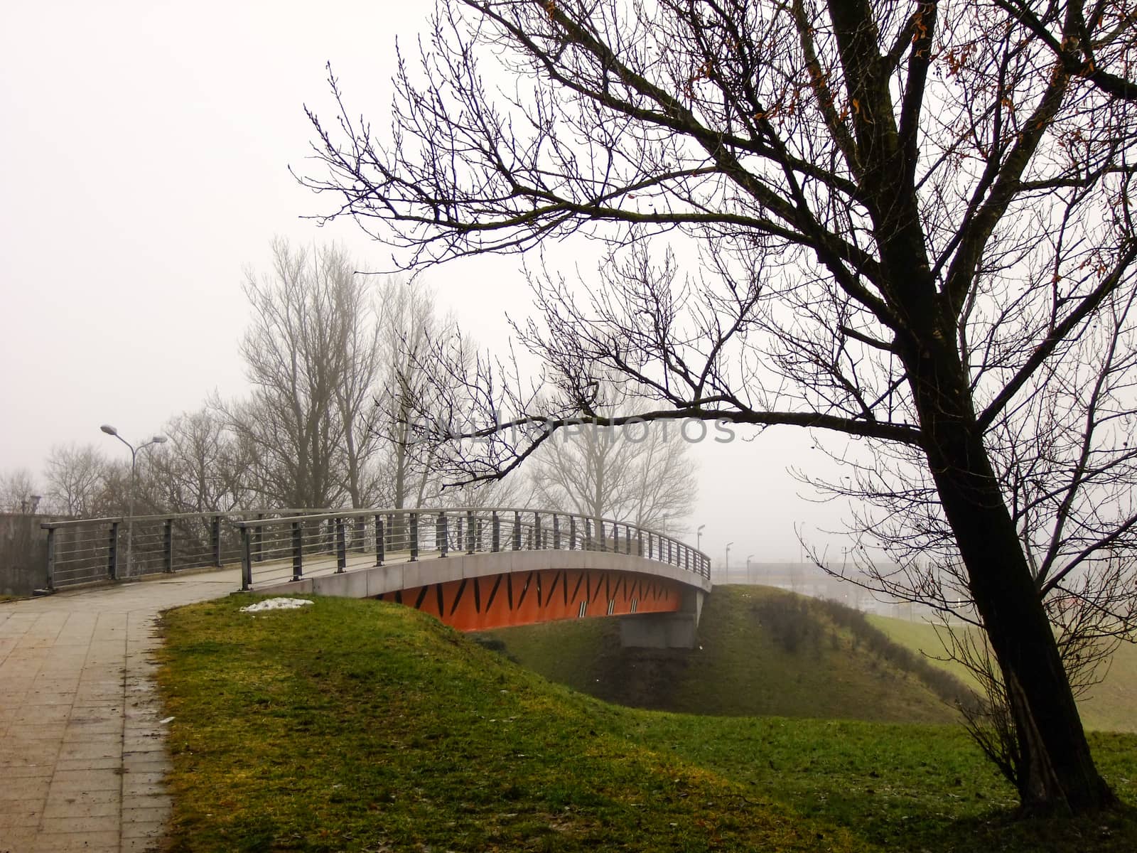 Small Bridge over a high intensive Street and a Tree near it in Vilnius City, Lithuania