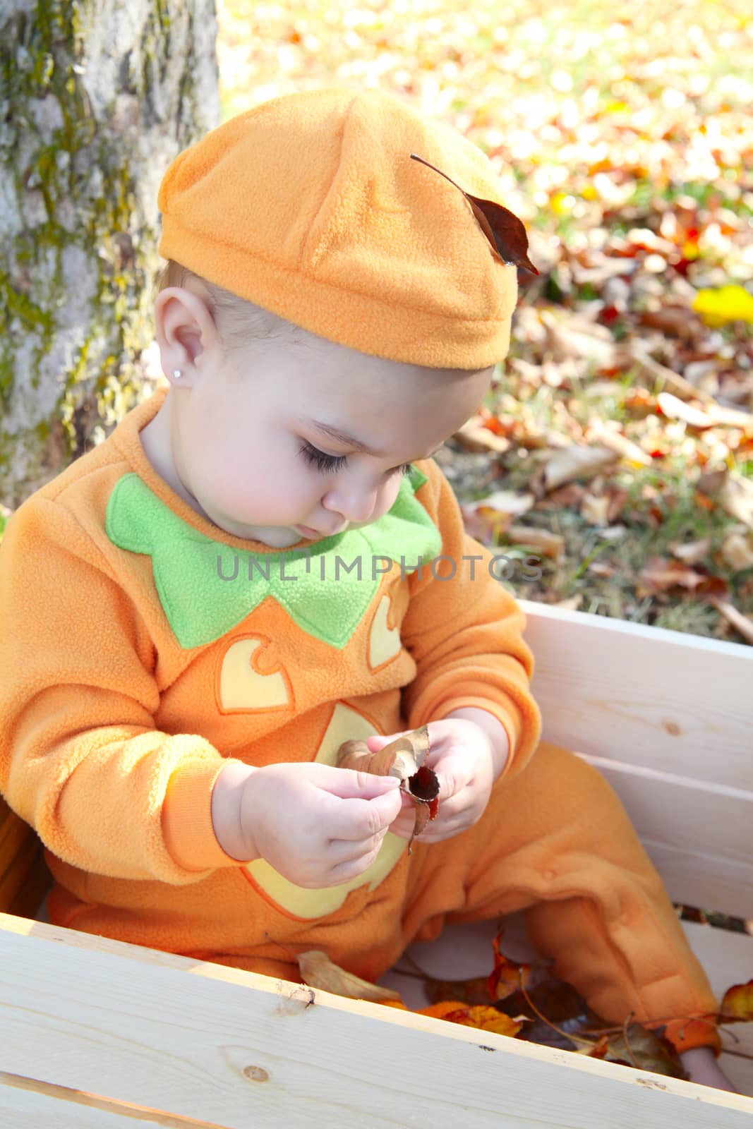 Halloween Pumpkin by vanell