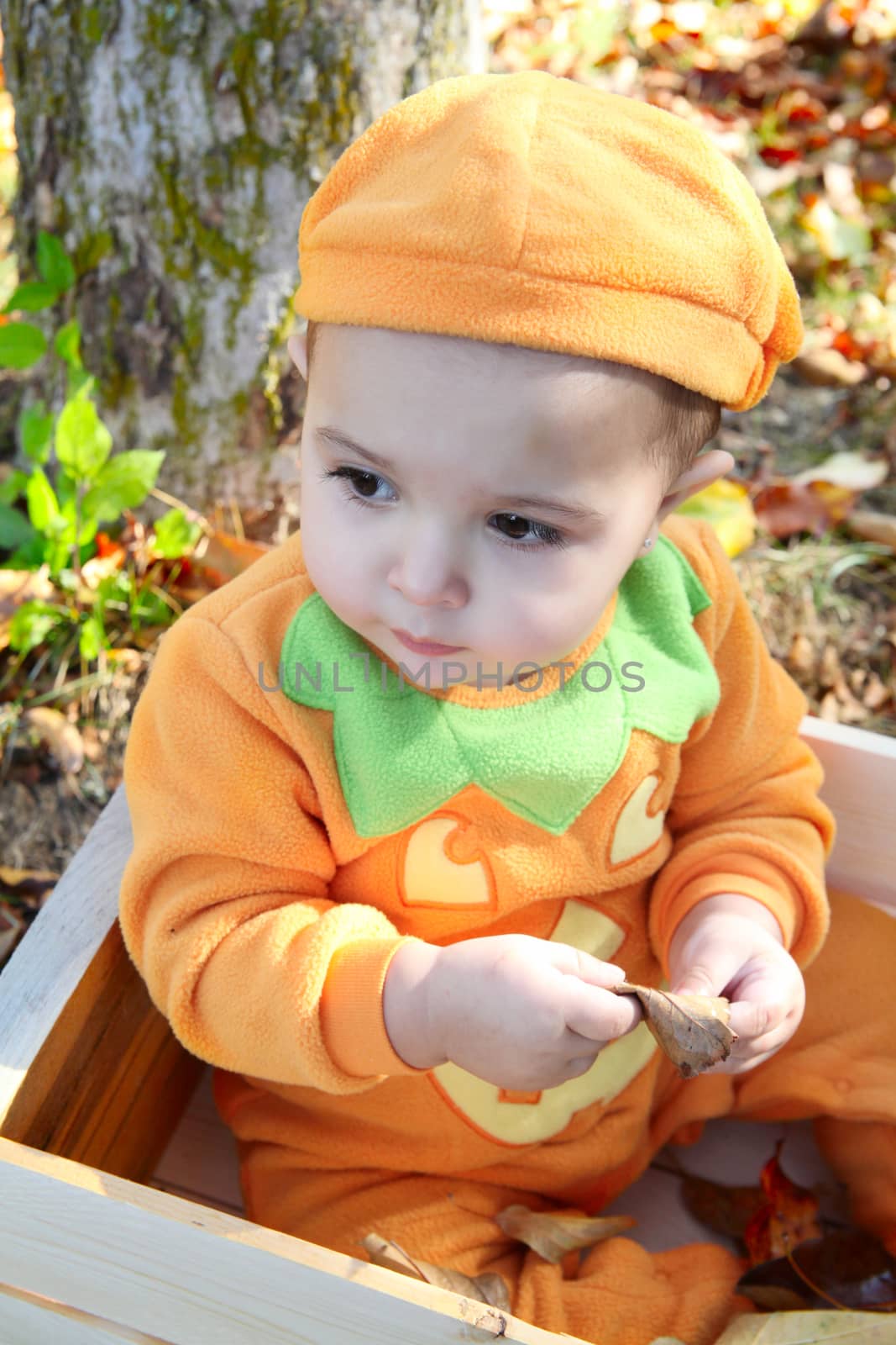 Baby girl dressed in a pumpkin halloween costume