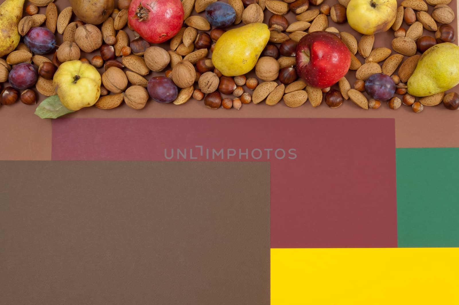 Organic autumn fruits and nuts on split background with copy space