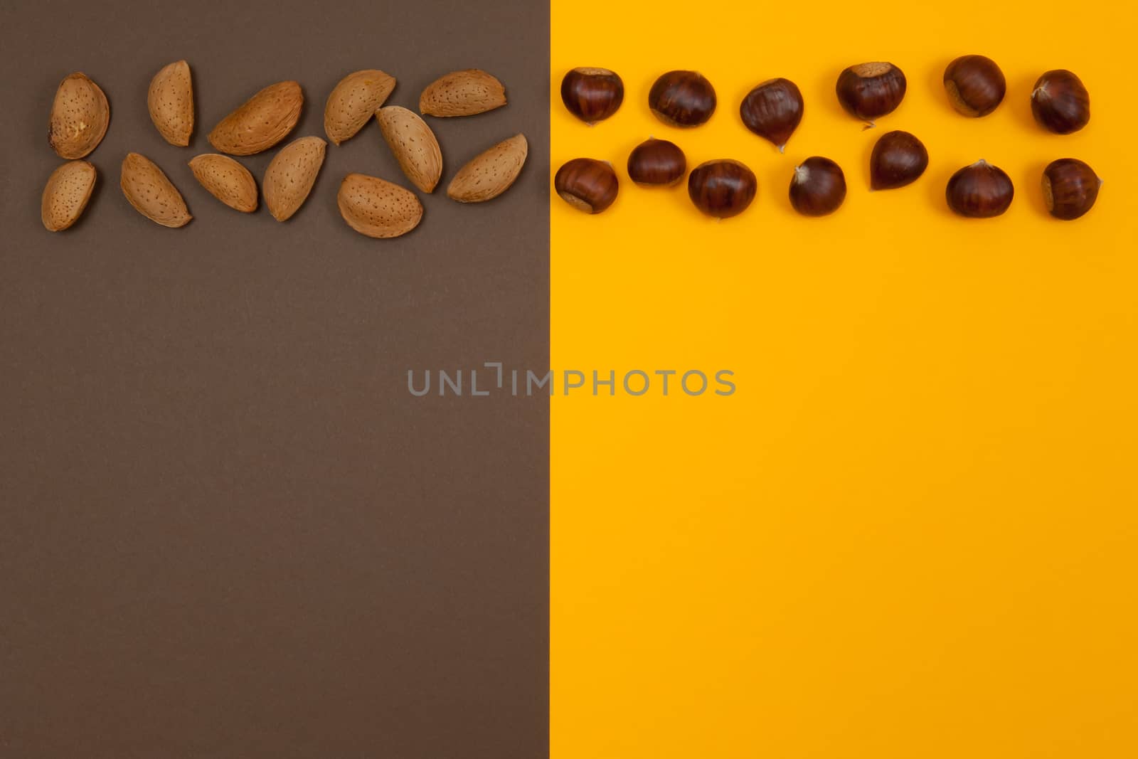 Nuts in row on  brown and orange split background by horizonphoto