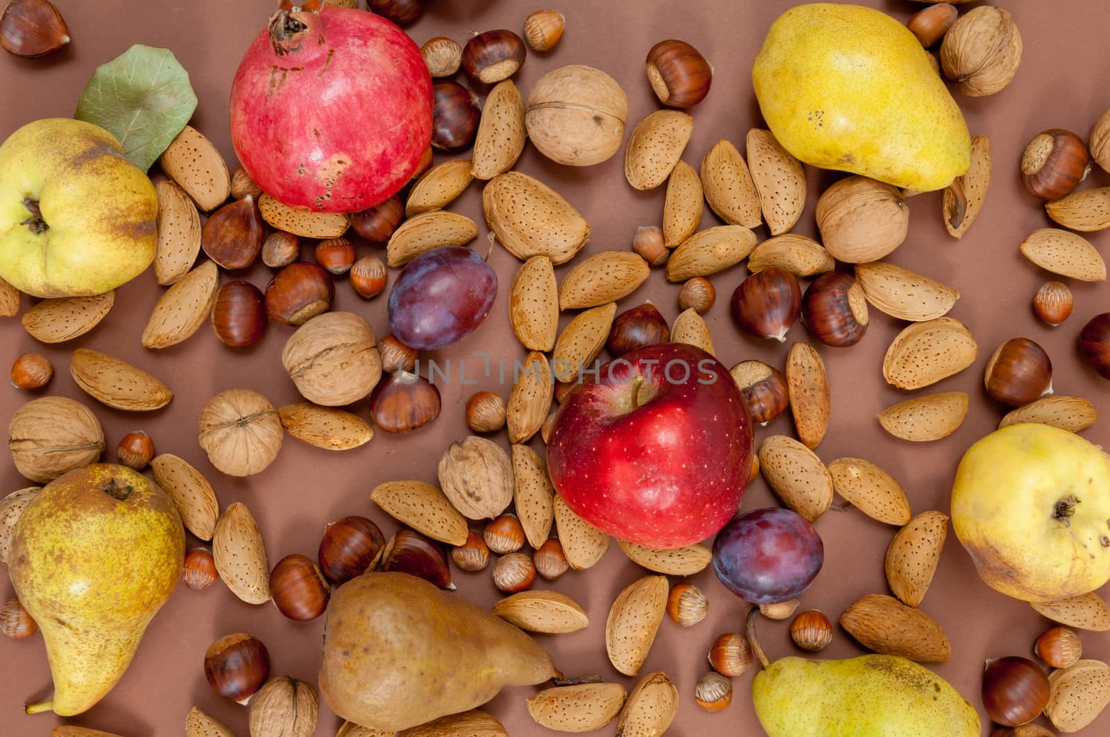 Organic autumn fruits and in shell nuts on dark brown background