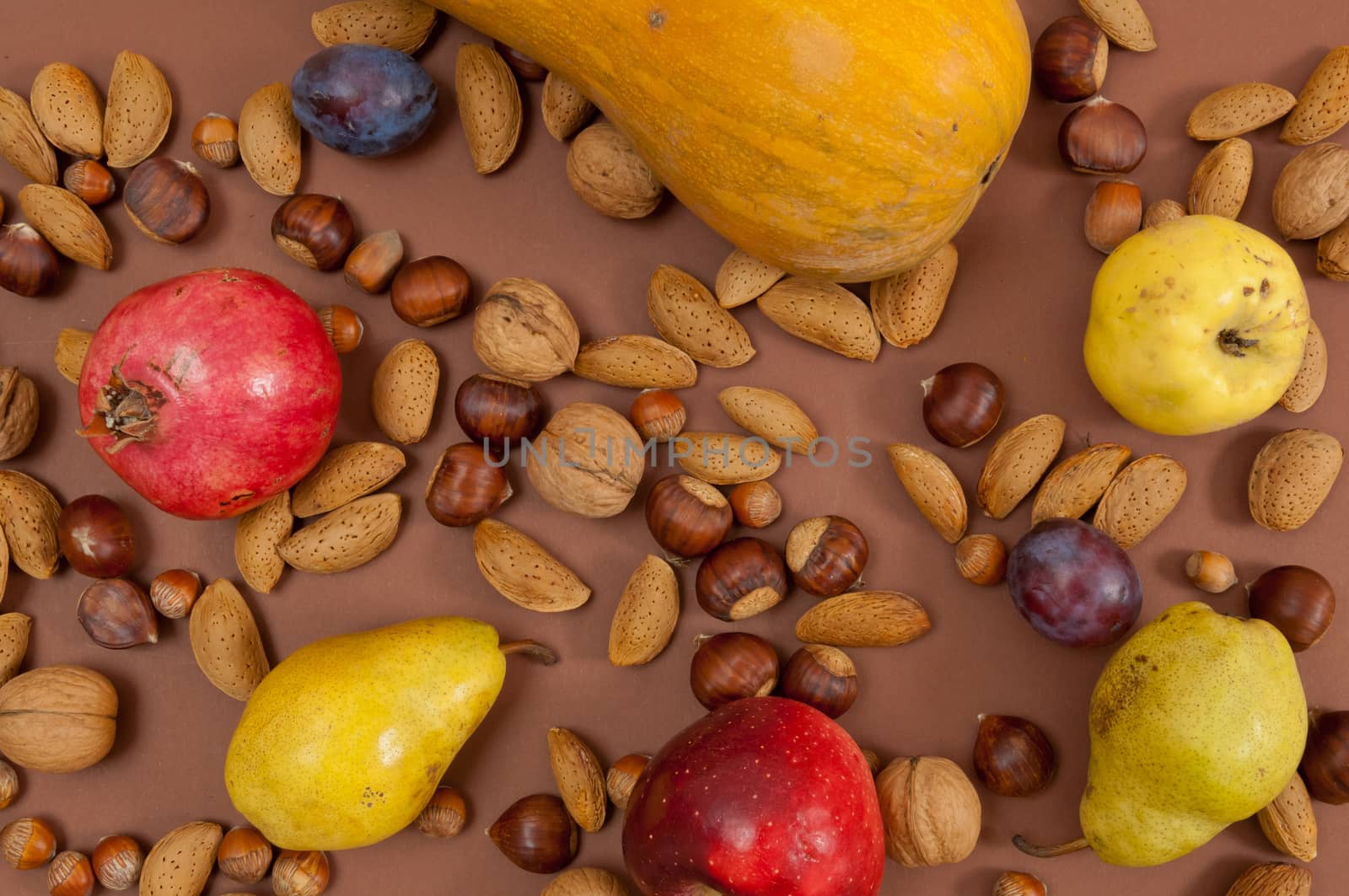 Organic autumn fruits and in shell nuts on dark brown background