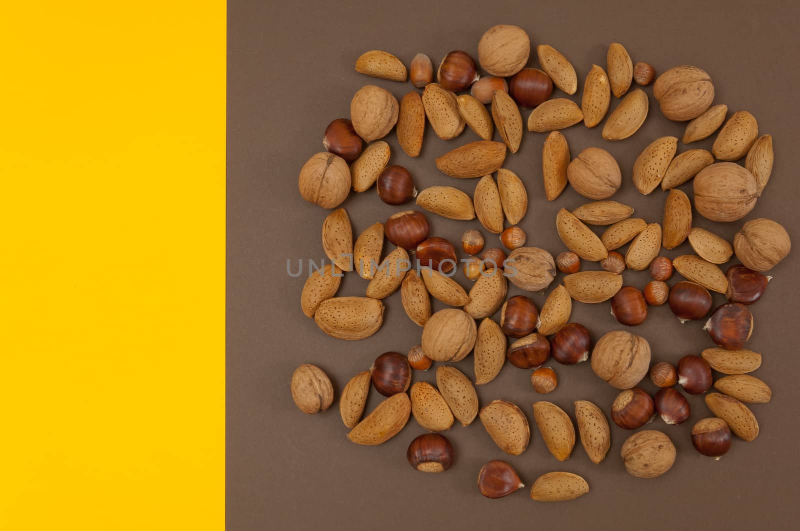 Organic autumn fruits and nuts isolated on split background with copy space