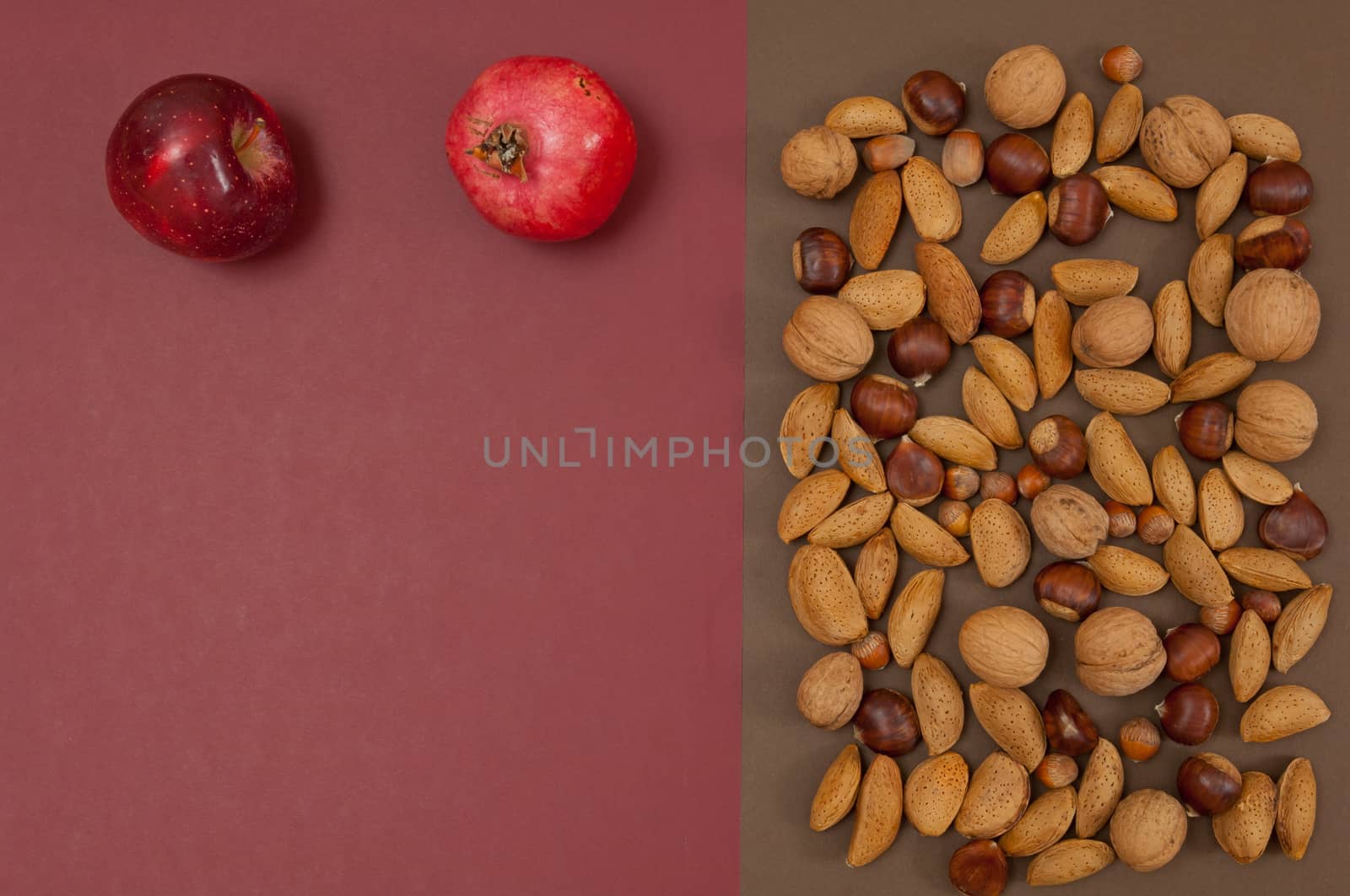 Organic autumn fruits and nuts isolated on split background with copy space