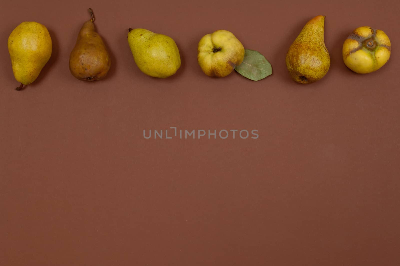 Pears in row on brown background with copy space by horizonphoto