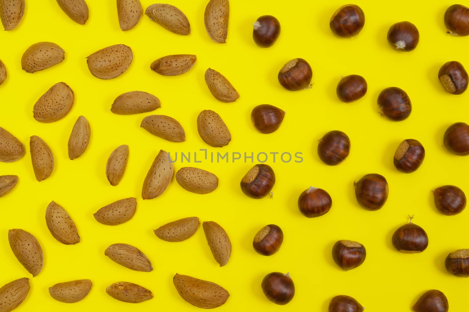 Setting of in shell almonds, chestnuts, hazelnuts on yellow back by horizonphoto