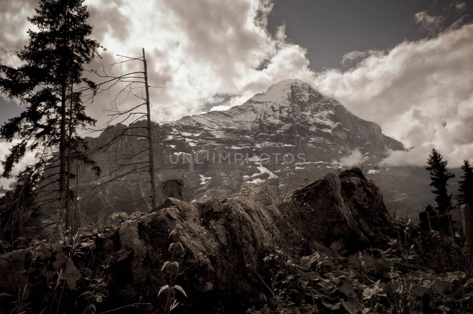 The Alps in Switzerland, high peaks steep valleys, Swiss Alps in Berner Oberland