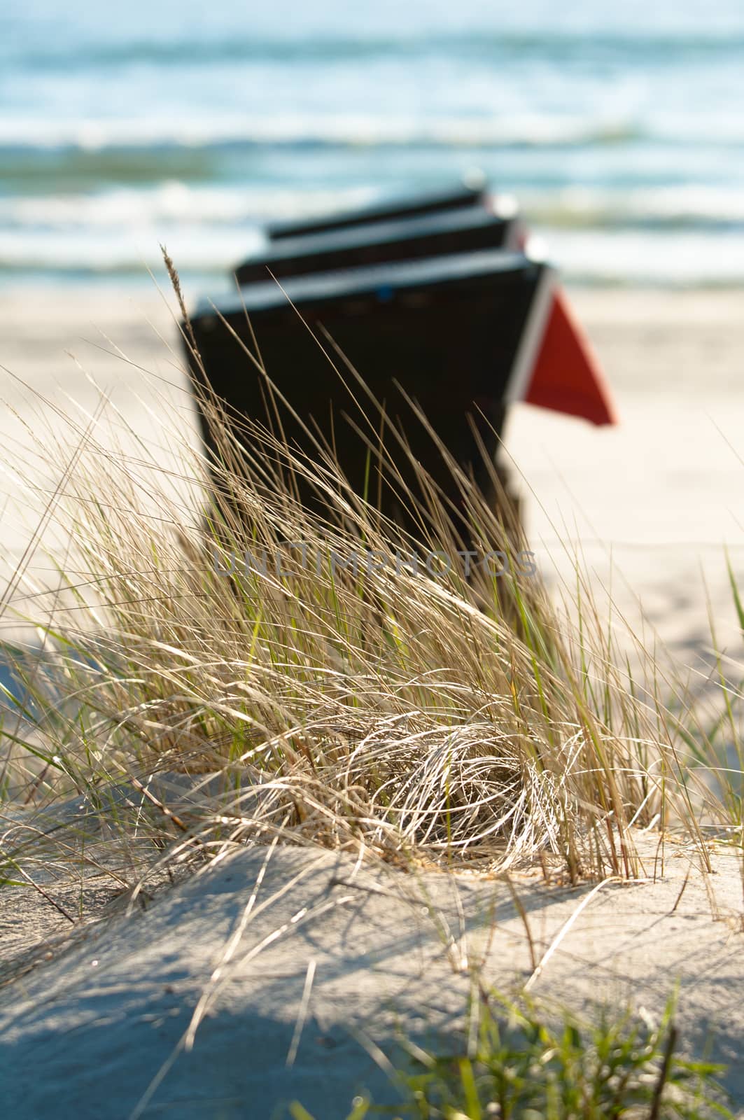 Strandkorb, Strandkoerbe in Rugen, Germany, Beach chairs on the sandy beach in Binz