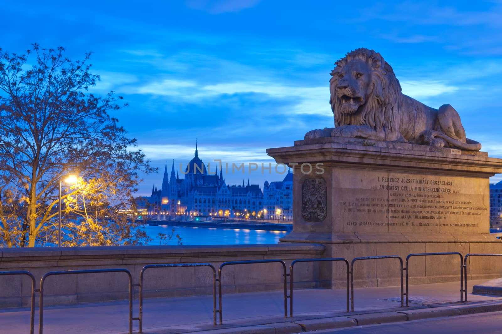 Parliament Building, Chain Bridge in the morning with the lion, Budapest, Hungary