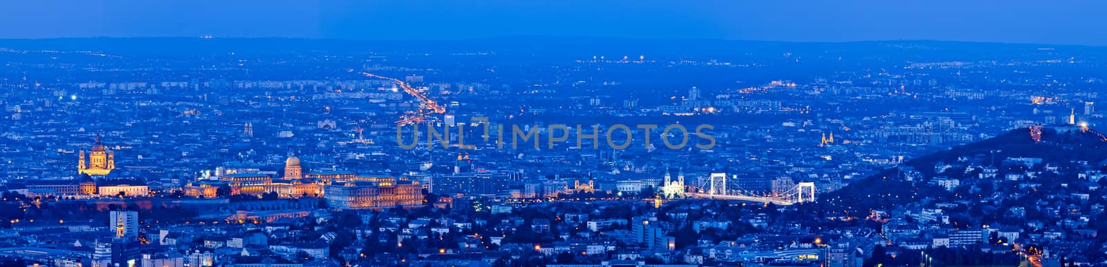 Budapest skyline from Buda Hills in the evening, Hungary