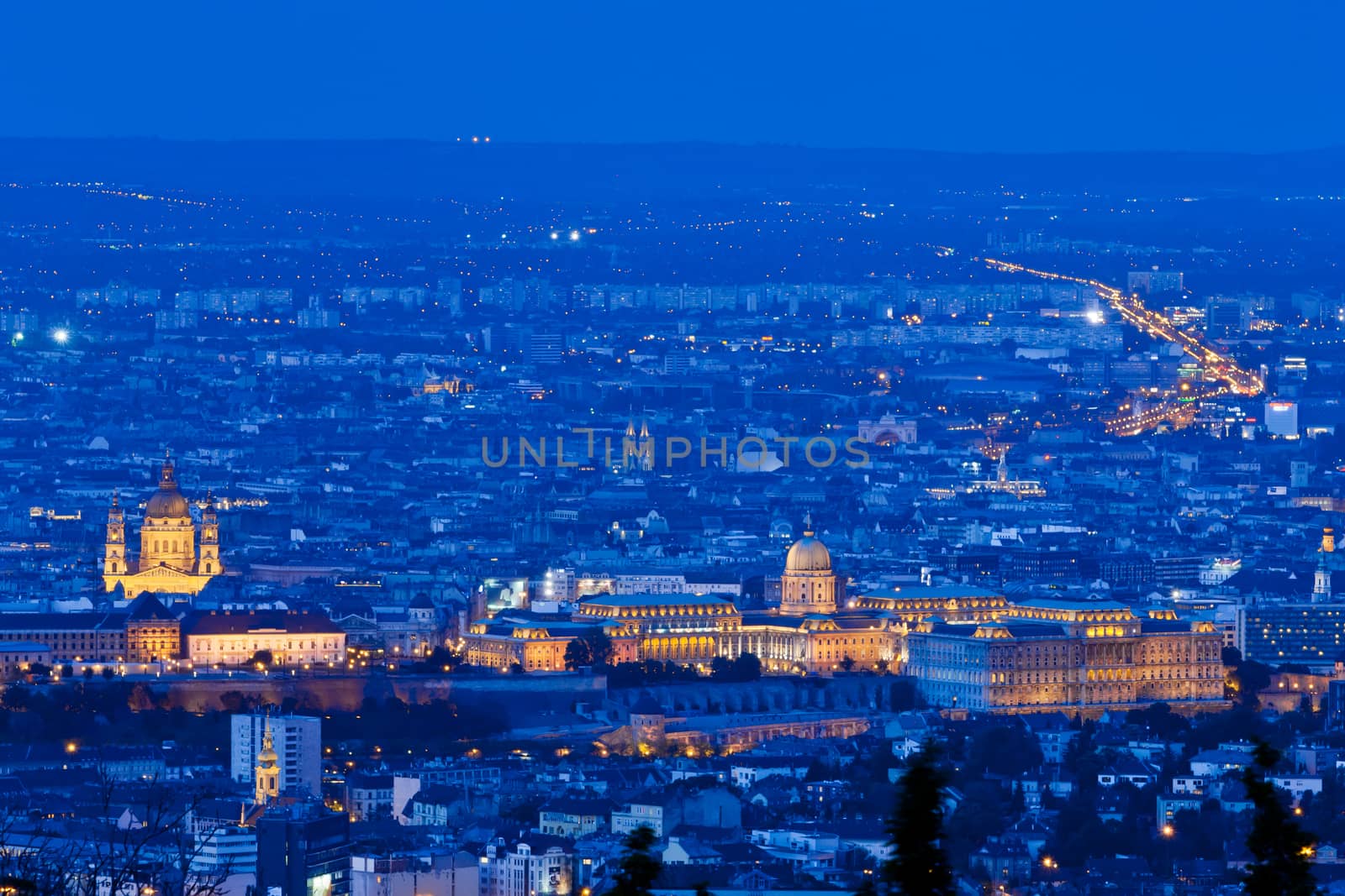 Budapest view with Buda Castle and Basilica, Hungary