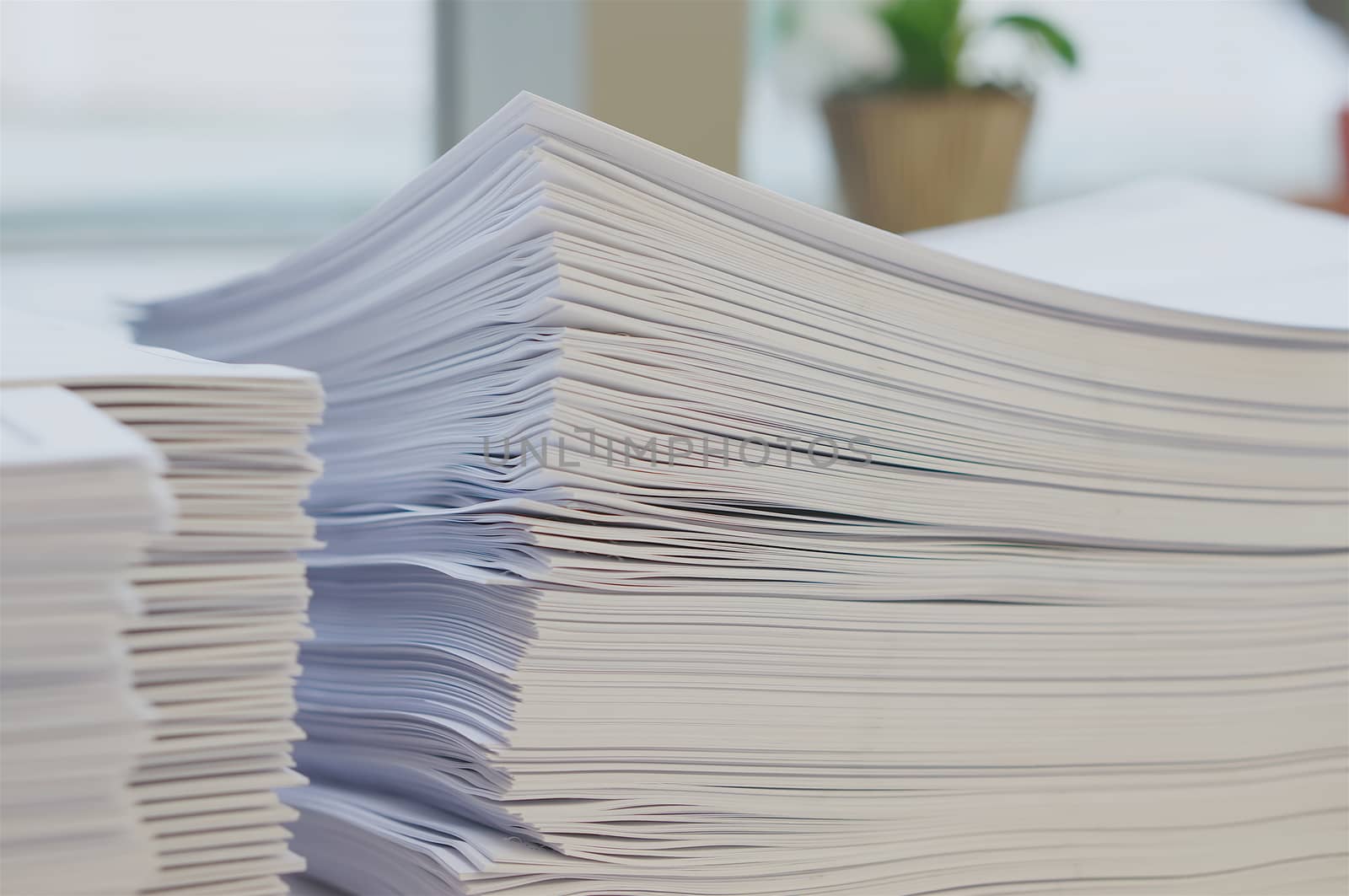 Stack of white papers sheet was organized  on office background.                              